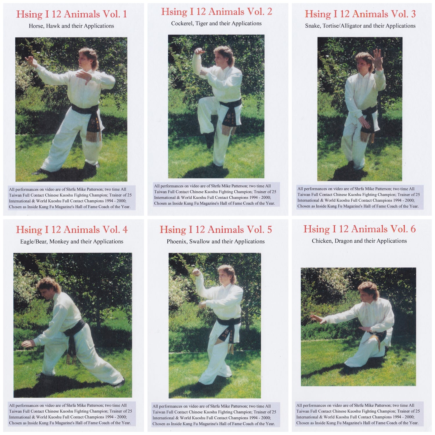 Hsing-I 12 Animals 6 DVD Set by Mike Patterson (Preowned)