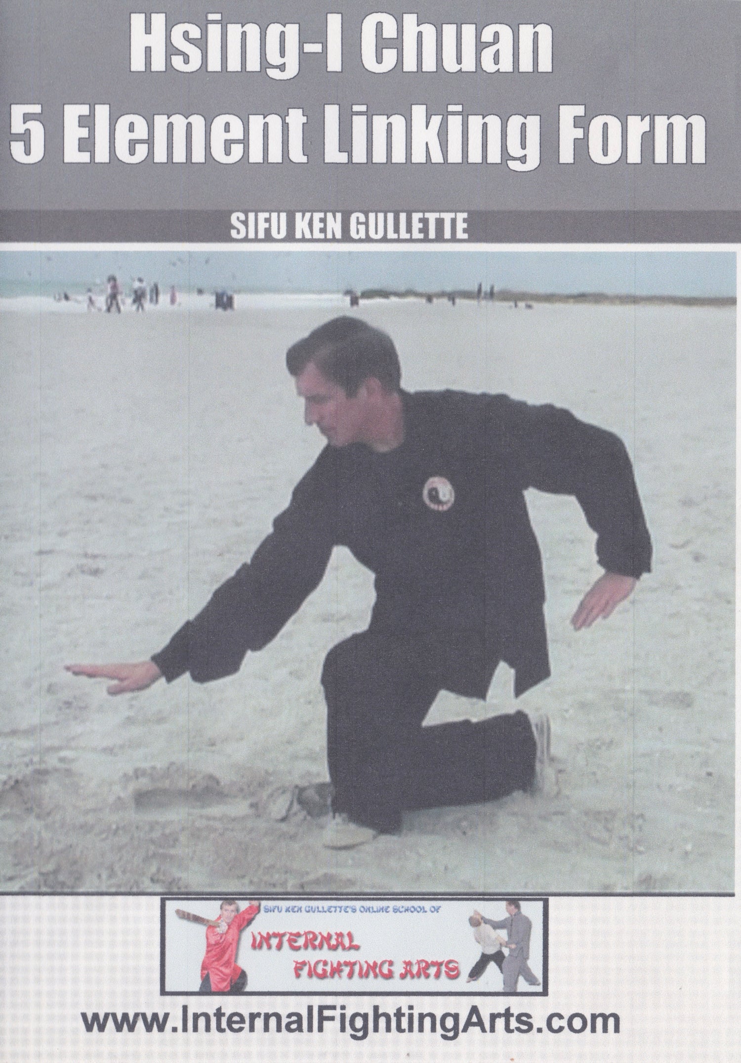Hsing-I Chuan 5 Element Linking Form DVD by Ken Gullette (Preowned)