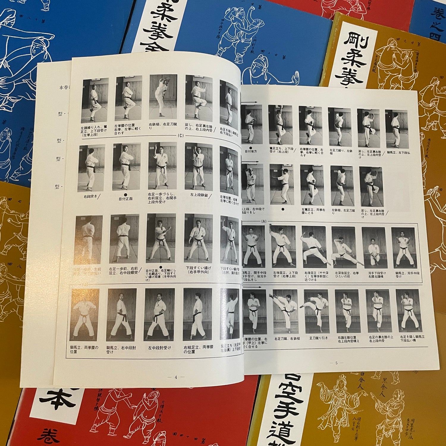 Okinawan Goju Ryu Karate Gojukensha Kyohan 11 Book Lot by Tadahiko Otsuka (Preowned)