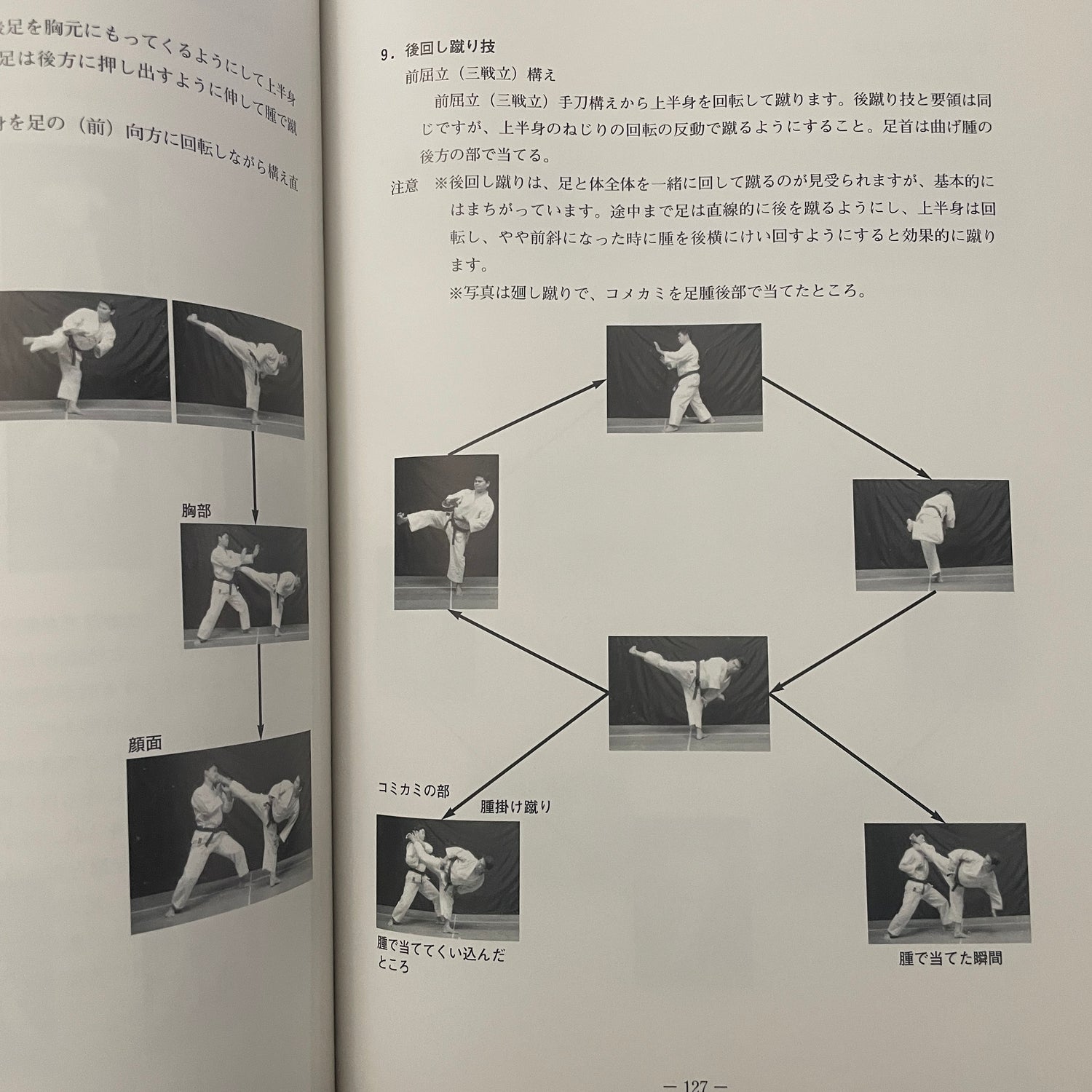 Goju Ryu Okinawan Karate Textbook (Uchinanchu) by Zenshu Toyama (Preowned)