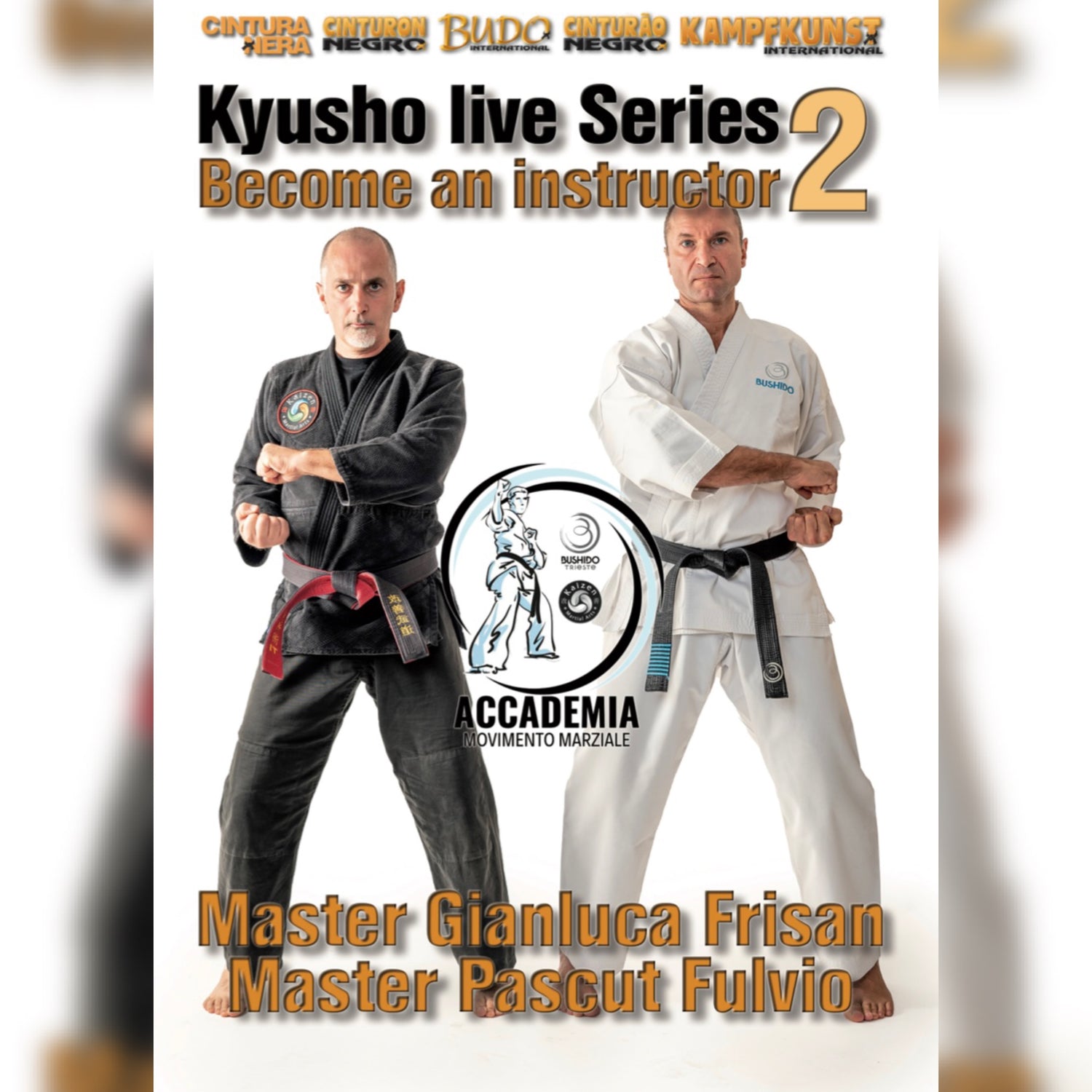 Become a Kyusho Instructor Vol 2 Gianluca Frisan (On Demand)