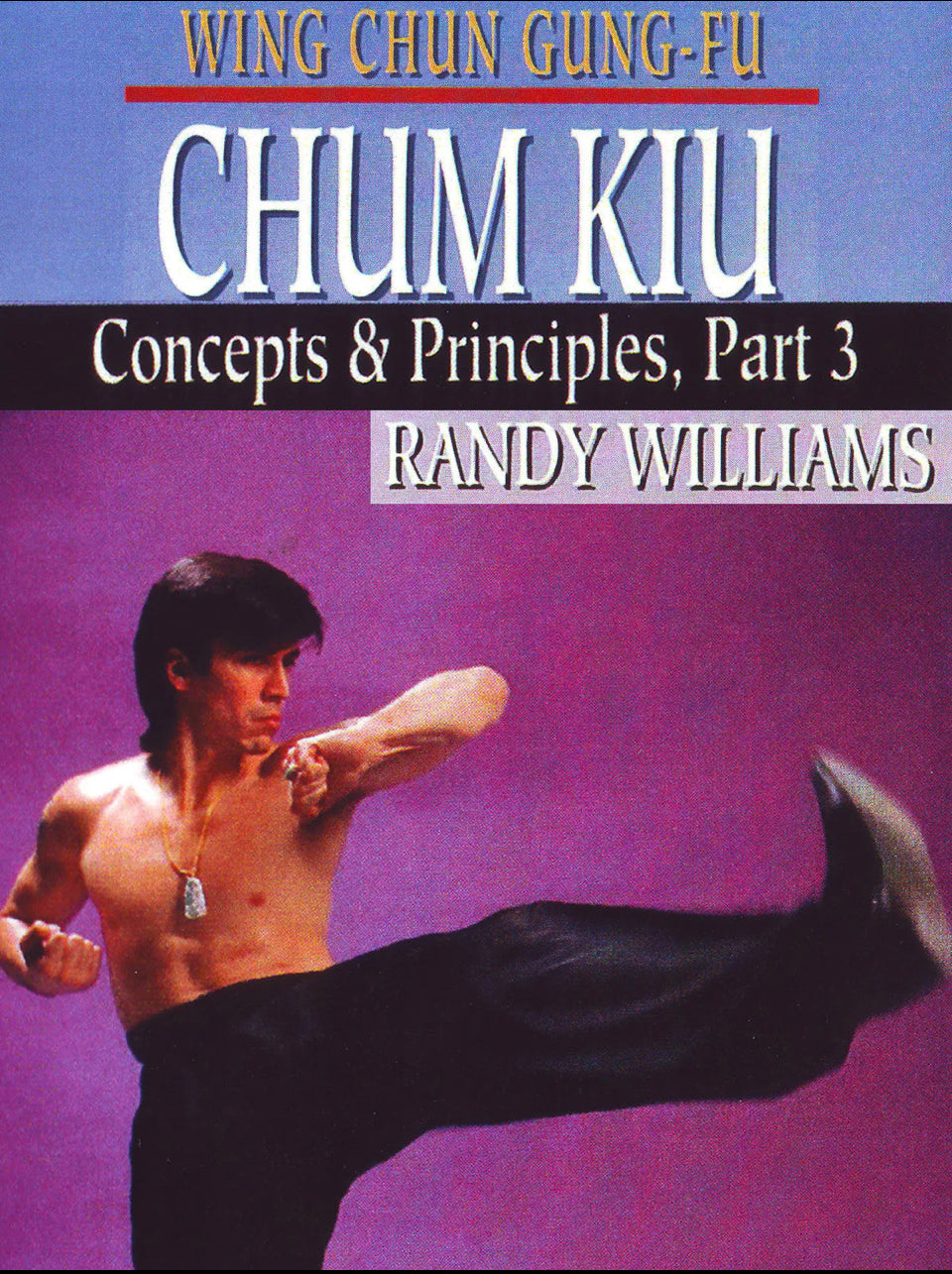 Wing Chun Chum Kiu 3 DVD by Randy Williams