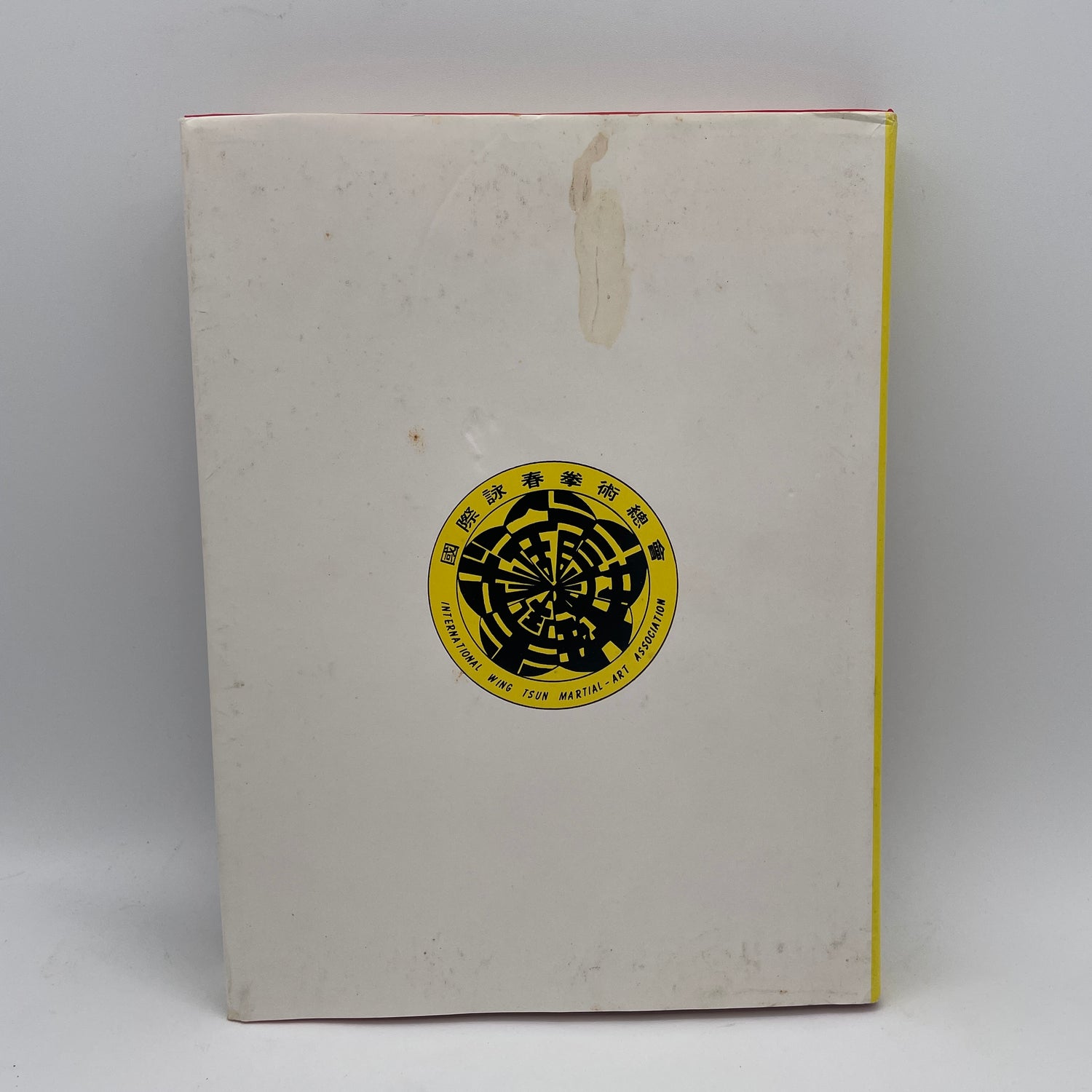 Libro Kung Fu Wing Tsun Kuen de Leung Ting (tapa dura) (usado)