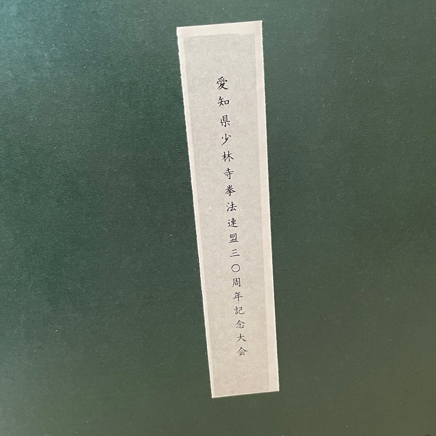 Doshin So (Founder of Shorinji Kempo) Framed Art