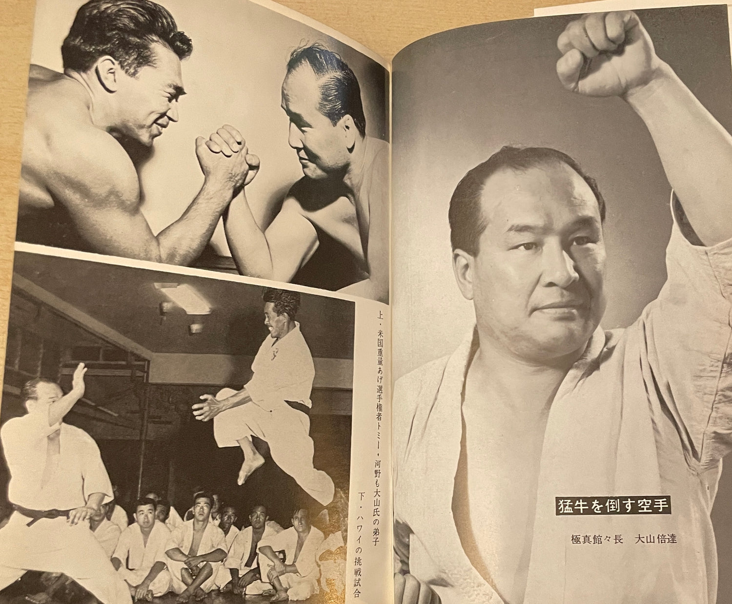 Budo Nippon Book 2 by Tetsuro Morikawa (Preowned)