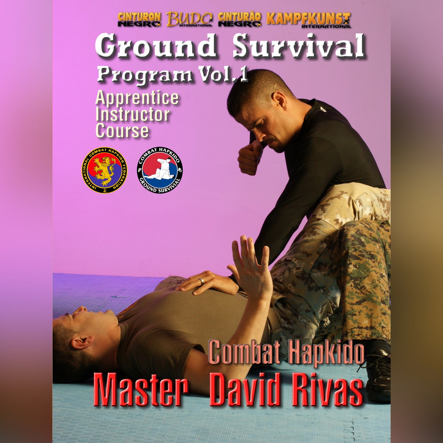 Combat Hapkido Ground Survival Prog V1 David Rivas (On Demand)