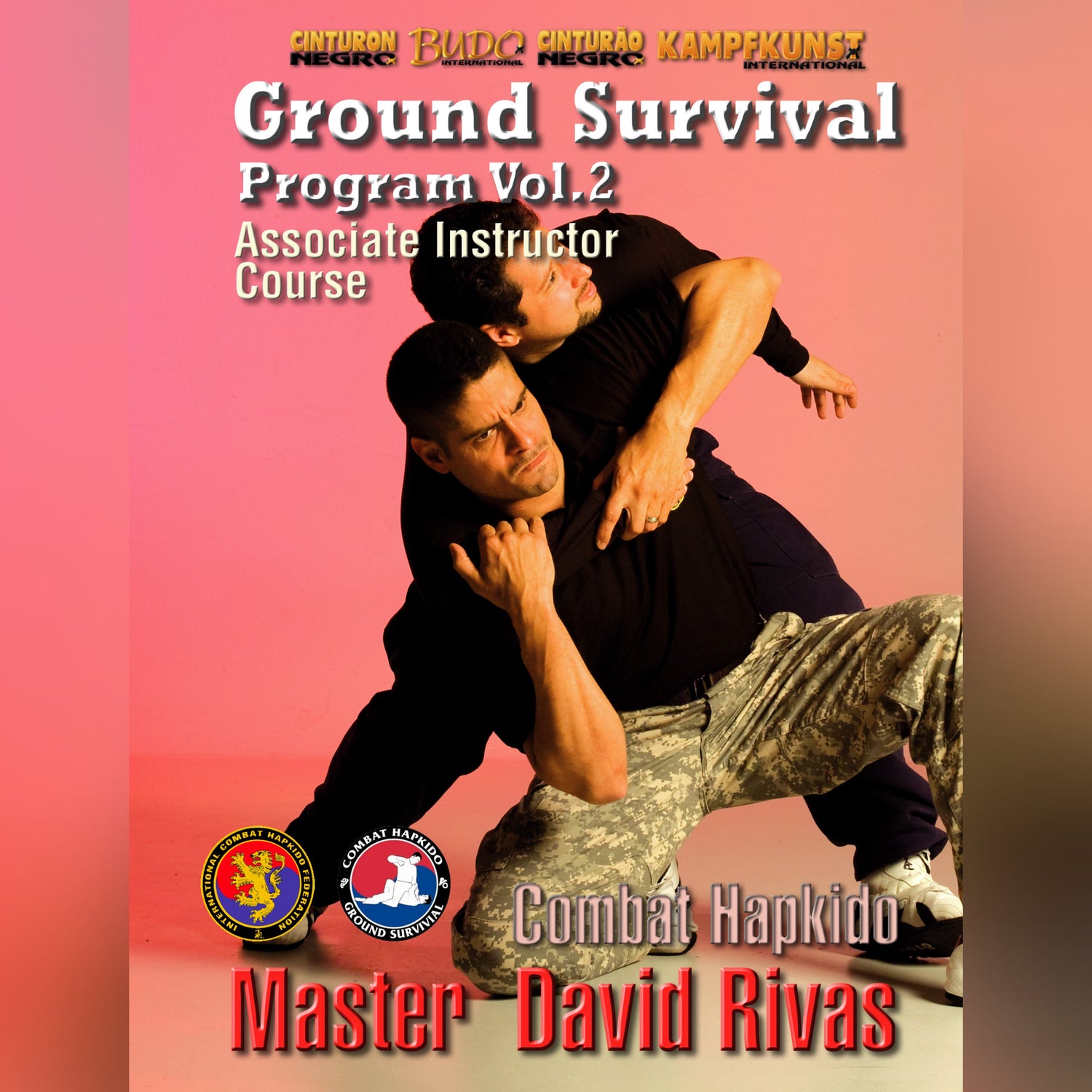 Combat Hapkido Ground Survival Prog V2 David Rivas (On Demand)