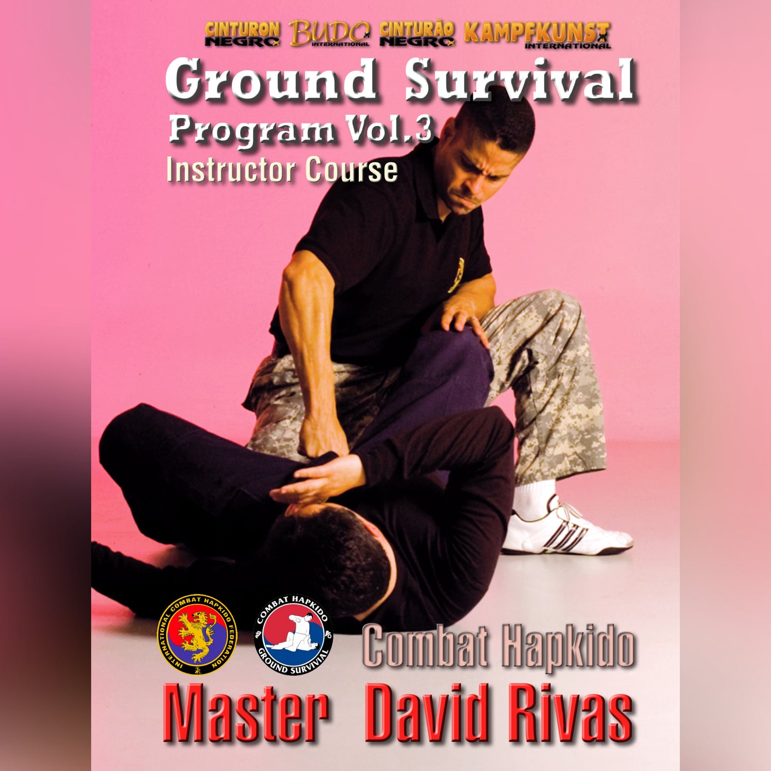 Combat Hapkido Ground Survival Prog V3 David Rivas (On Demand)