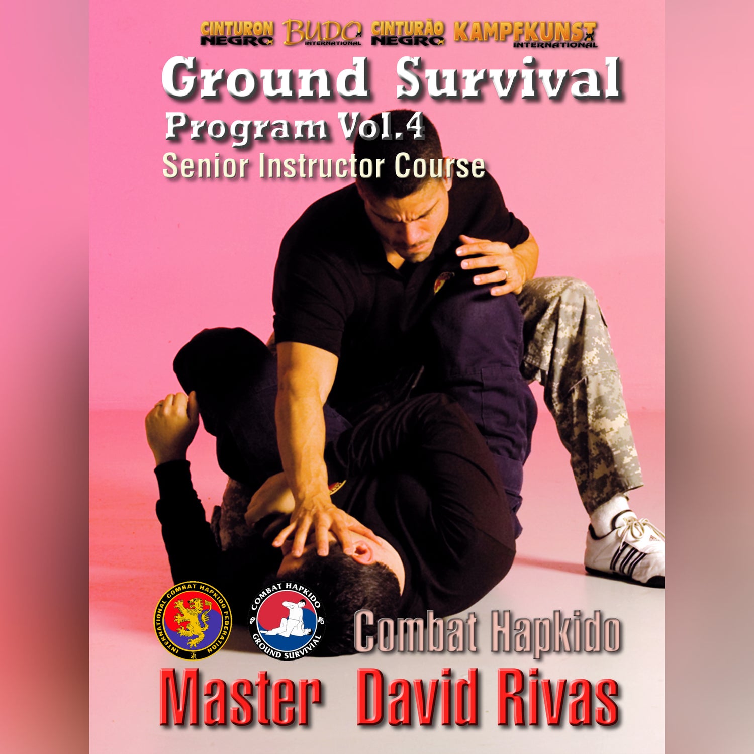 Combat Hapkido Ground Survival Prog V4 David Rivas (On Demand)