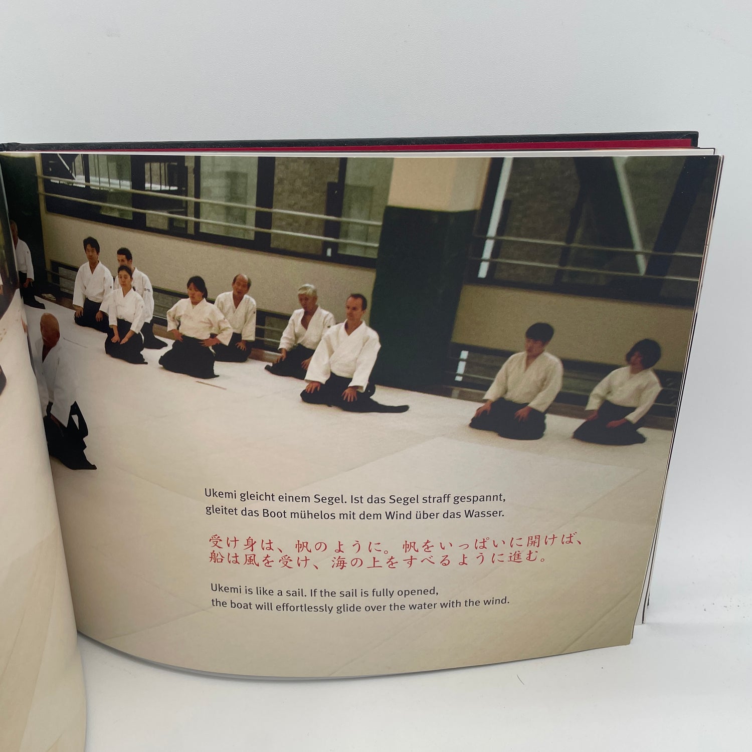 Shinki: The Aikido of Nobuyuki Watanabe Book (Hardcover)(Preowned)