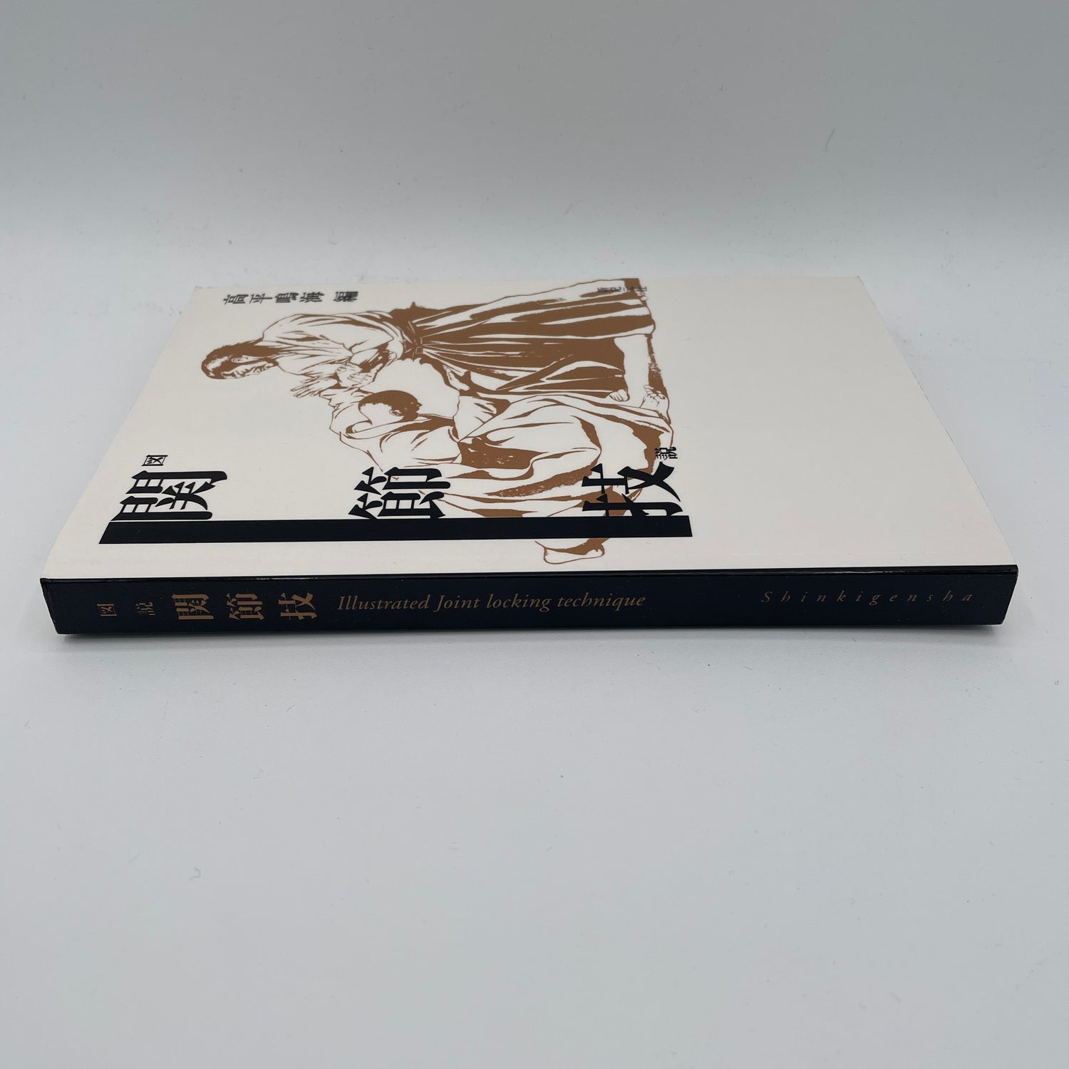 Illustrated Joint Lock Book by Narumi Takahira
