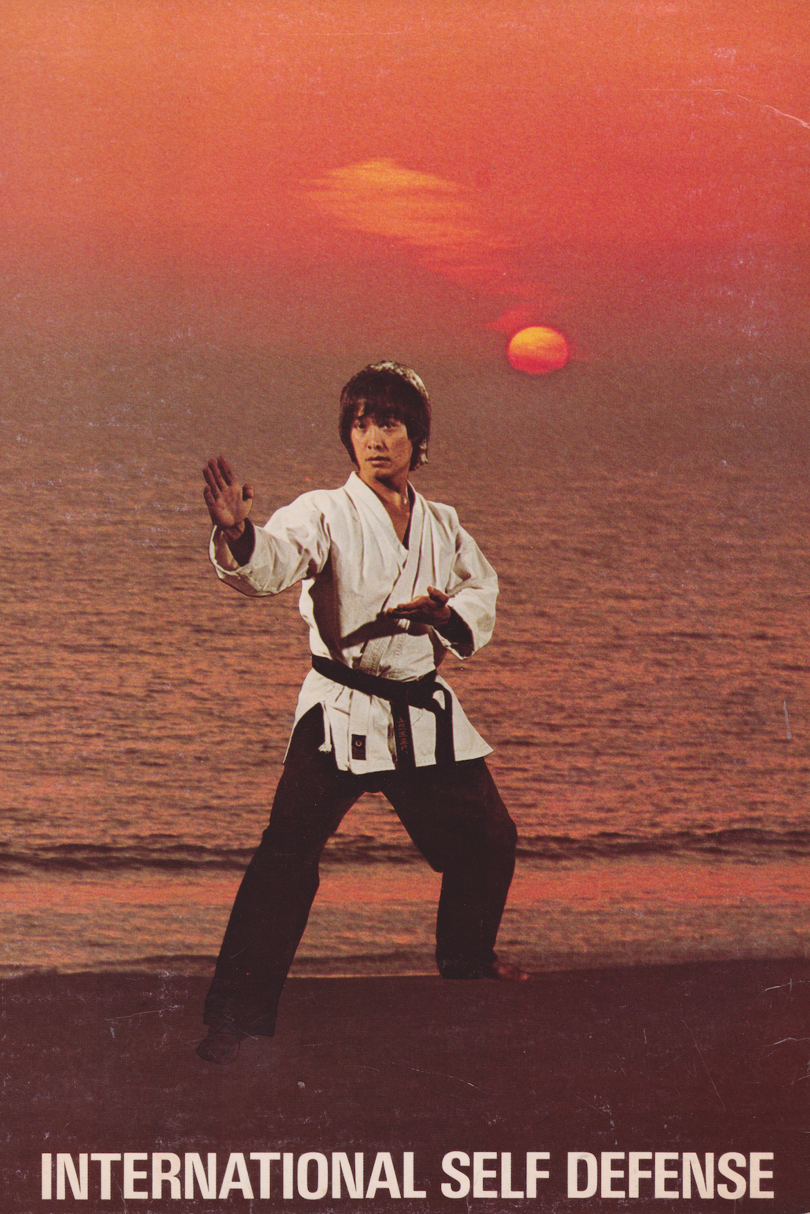 International Self Defense Tang Soo Do 8 Book Set by John Natividad (Preowned)