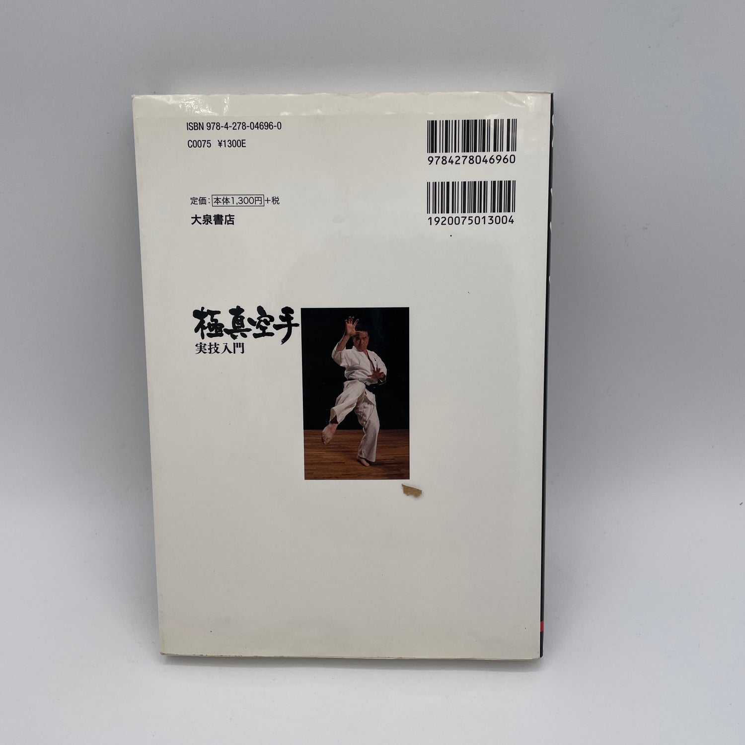 Intro to Kyokushin Karate Striking Book by Hatsuo Royama (Preowned)