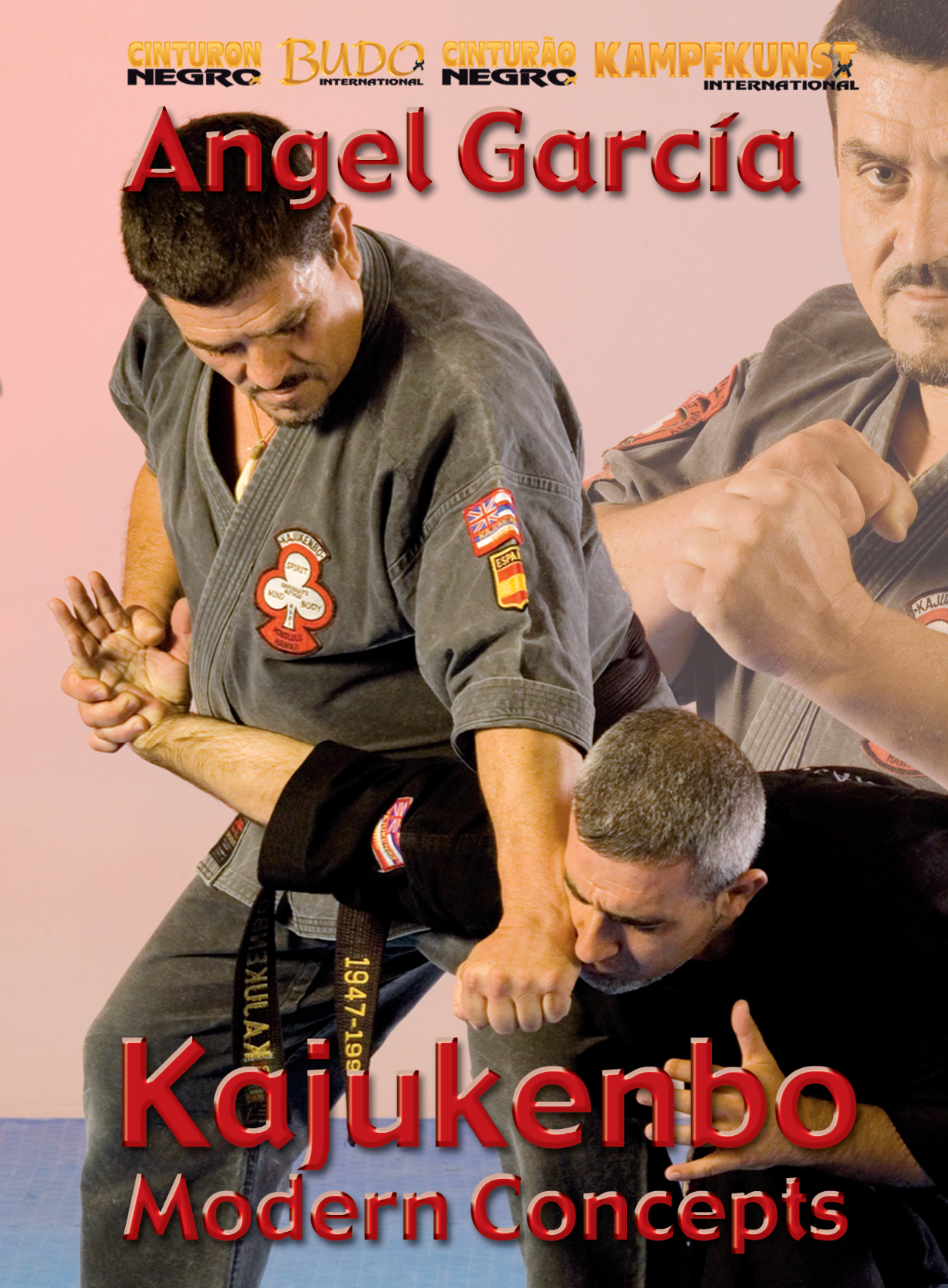 Kajukenbo Modern Concepts DVD by Angel Garcia