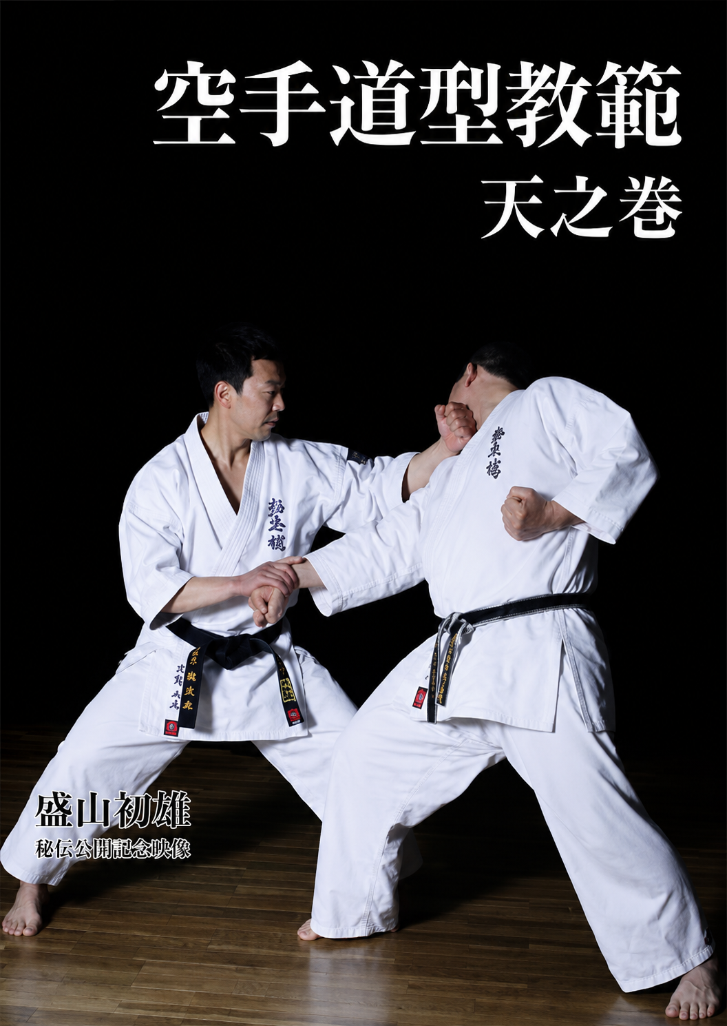 Karate-Do Kata Kyohan Ten no Maki Book by Hatsuo Royama