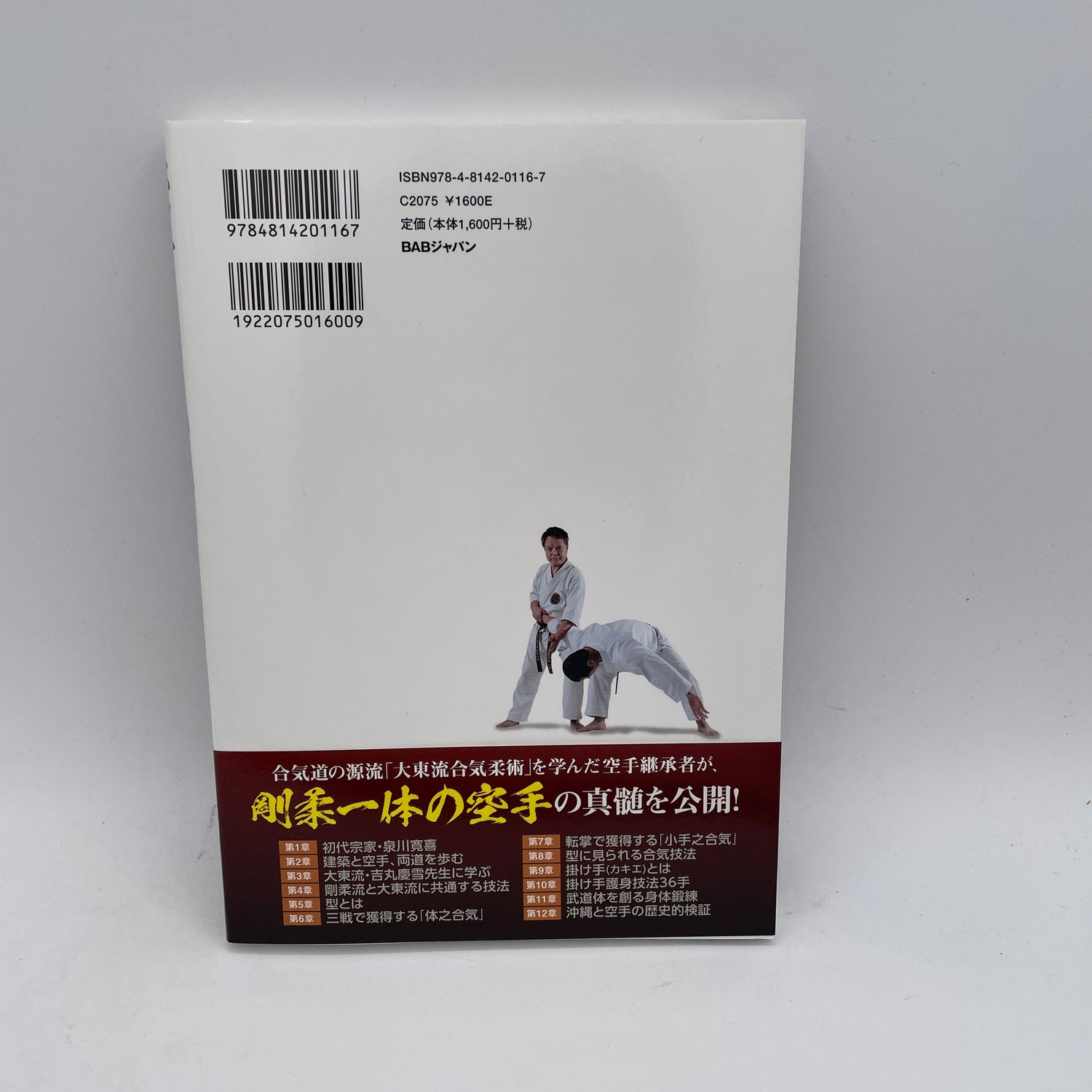 Karate no Aiki & Aiki no Karate Book by Katsuya Izumikawa