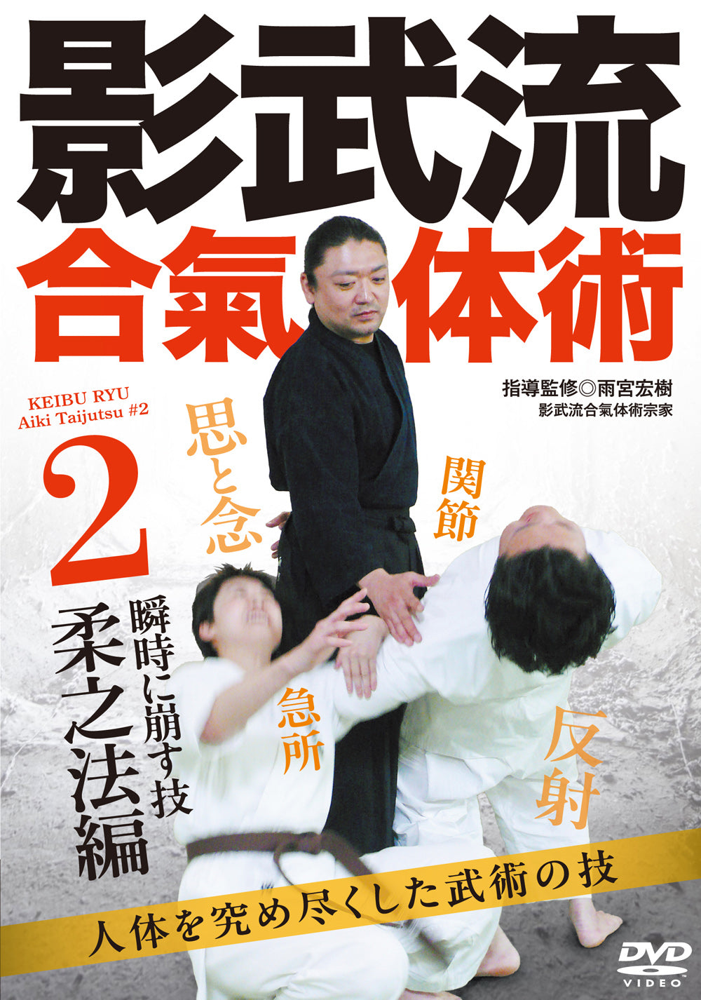 Keibu Ryu Aiki Taijutsu DVD #2 by Hiroki Amemiya