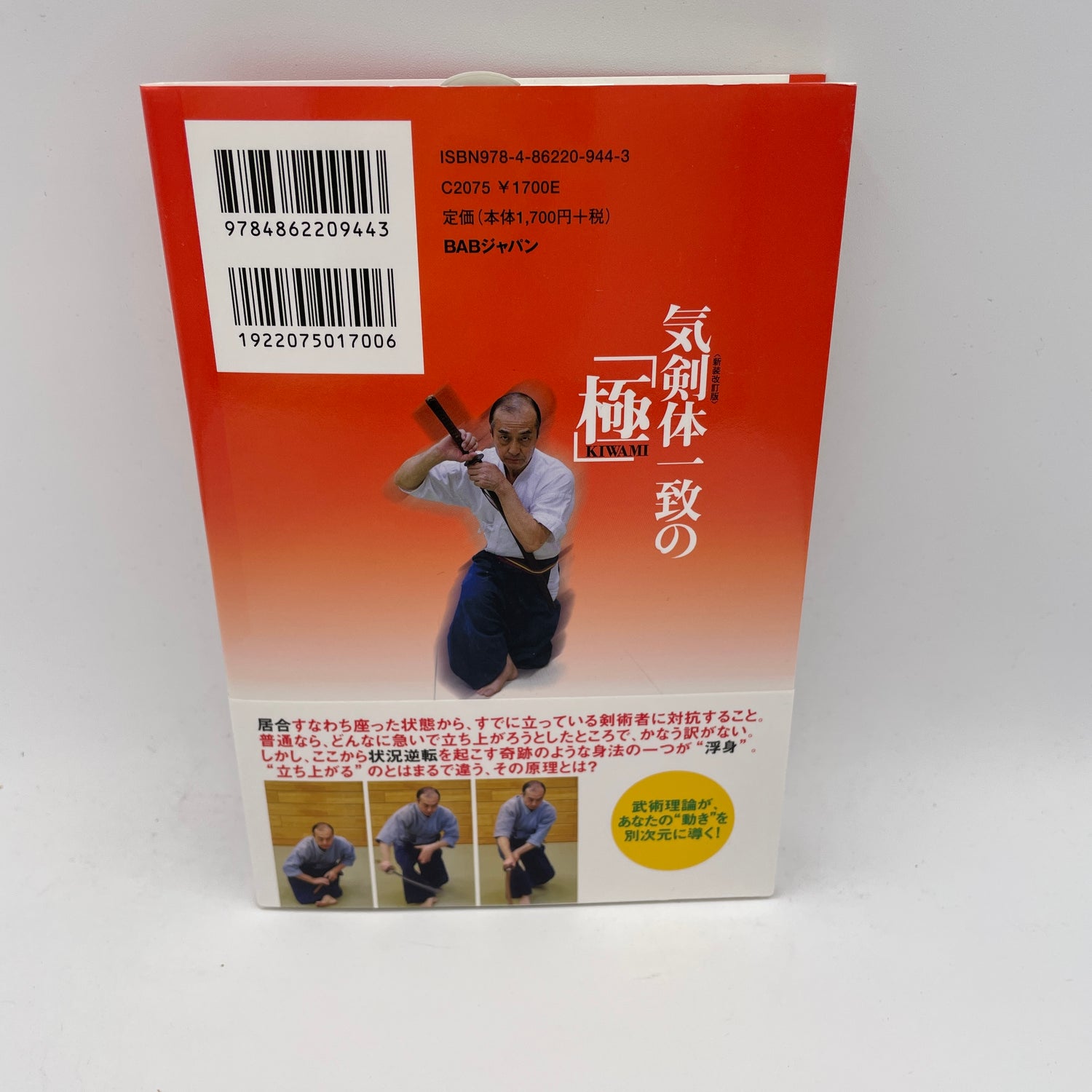 Ki Ken Tai Book 3: Kiwami by Tetsuzan Kuroda (2nd Edition)