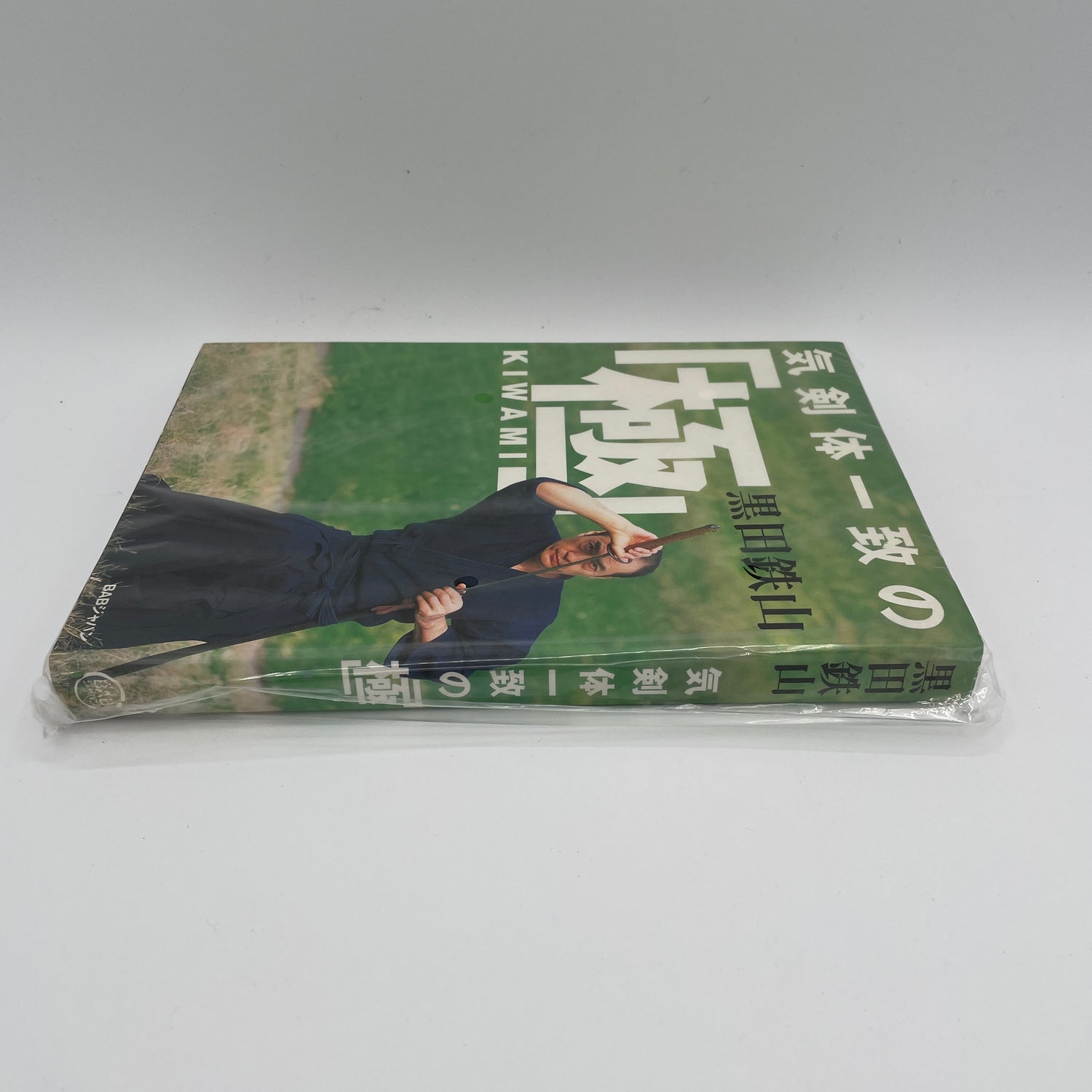 Ki Ken Tai Ichi Book 3: Kiwami by Tetsuzan Kuroda (1st Edition) (Preowned)