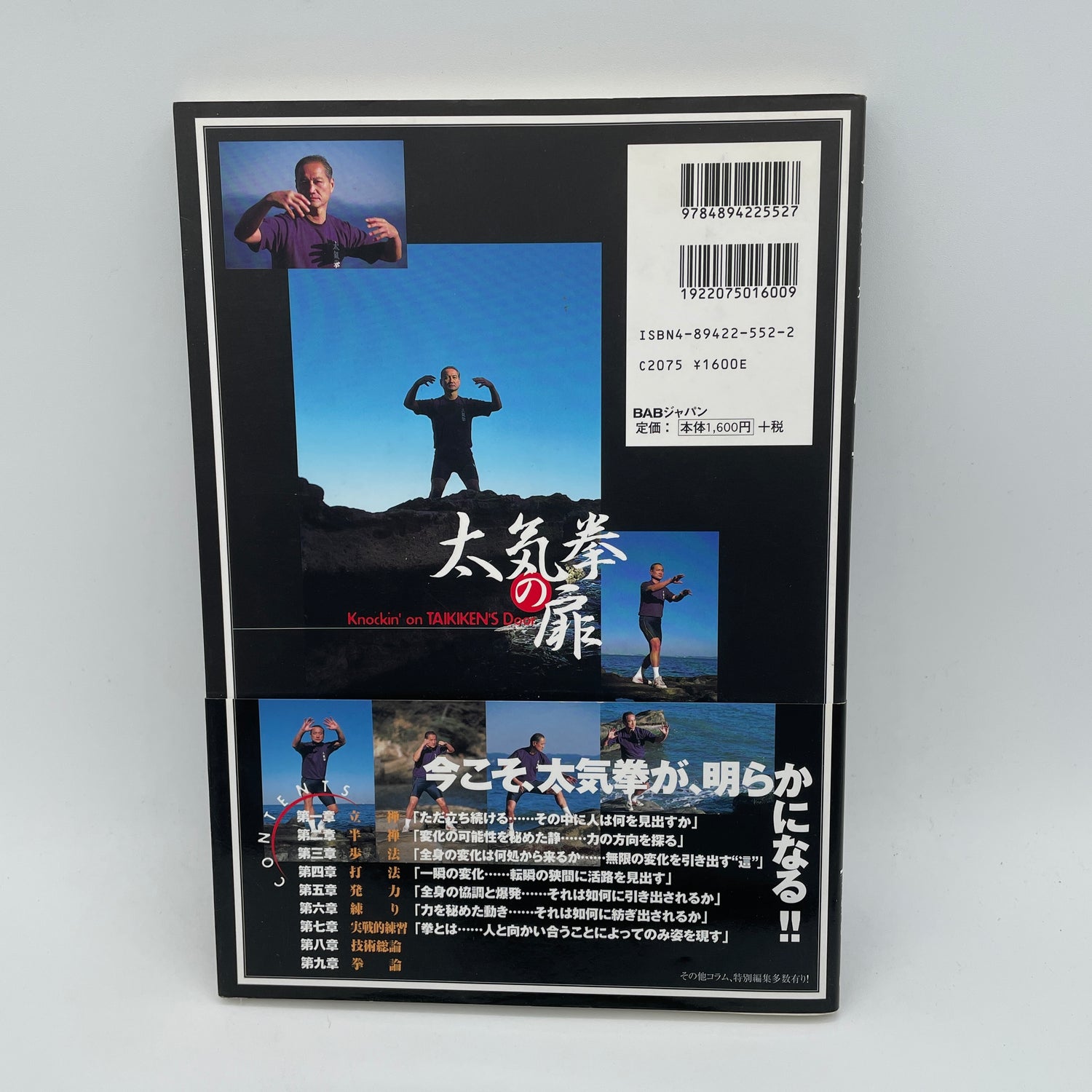 Knockin on Taikiken's Door - Now is the time to Reveal Taikiken Book by Satoshi Amano (Preowned)