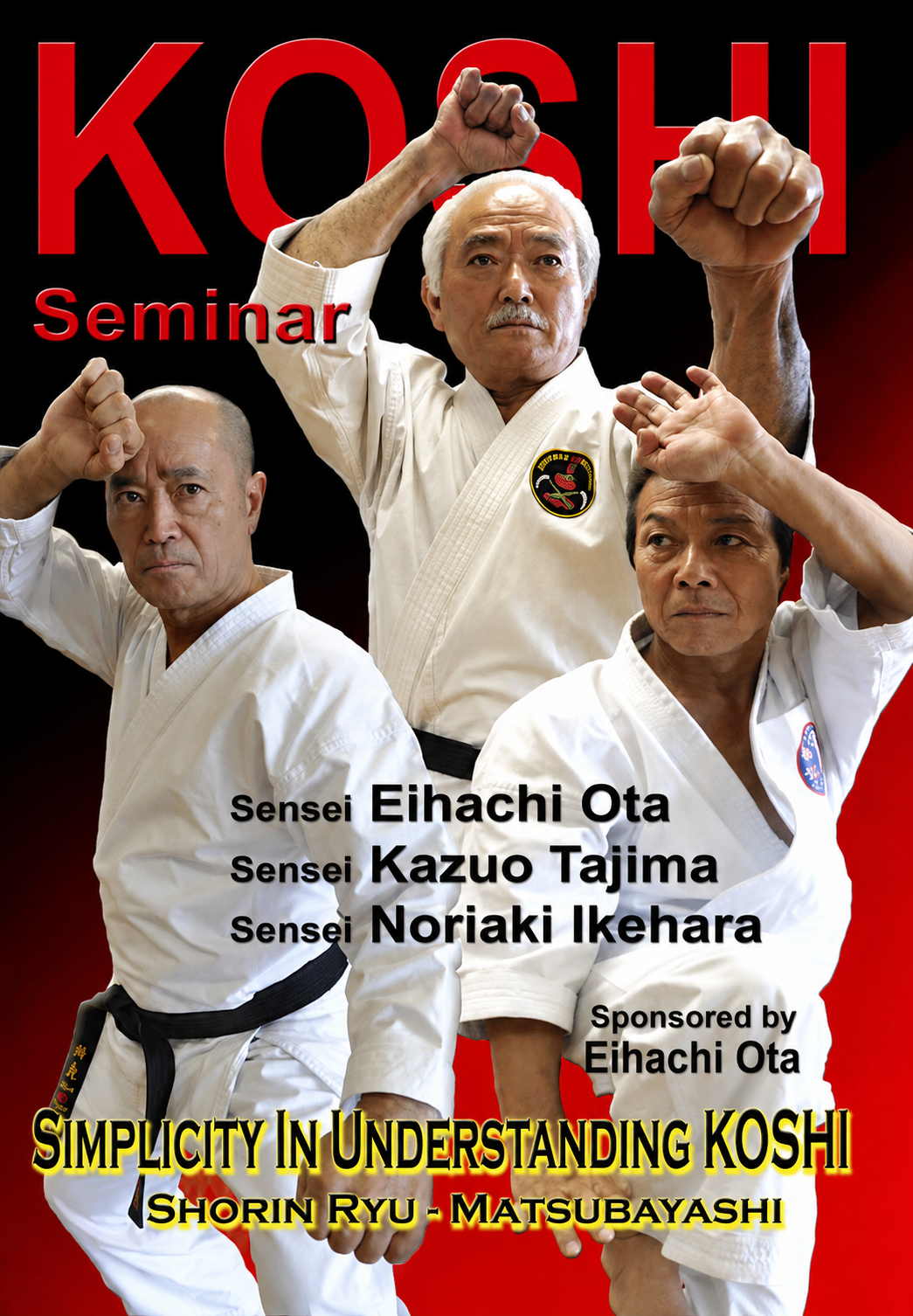 Koshi Shorin Ryu Karate Seminar DVD by Eihachi Ota