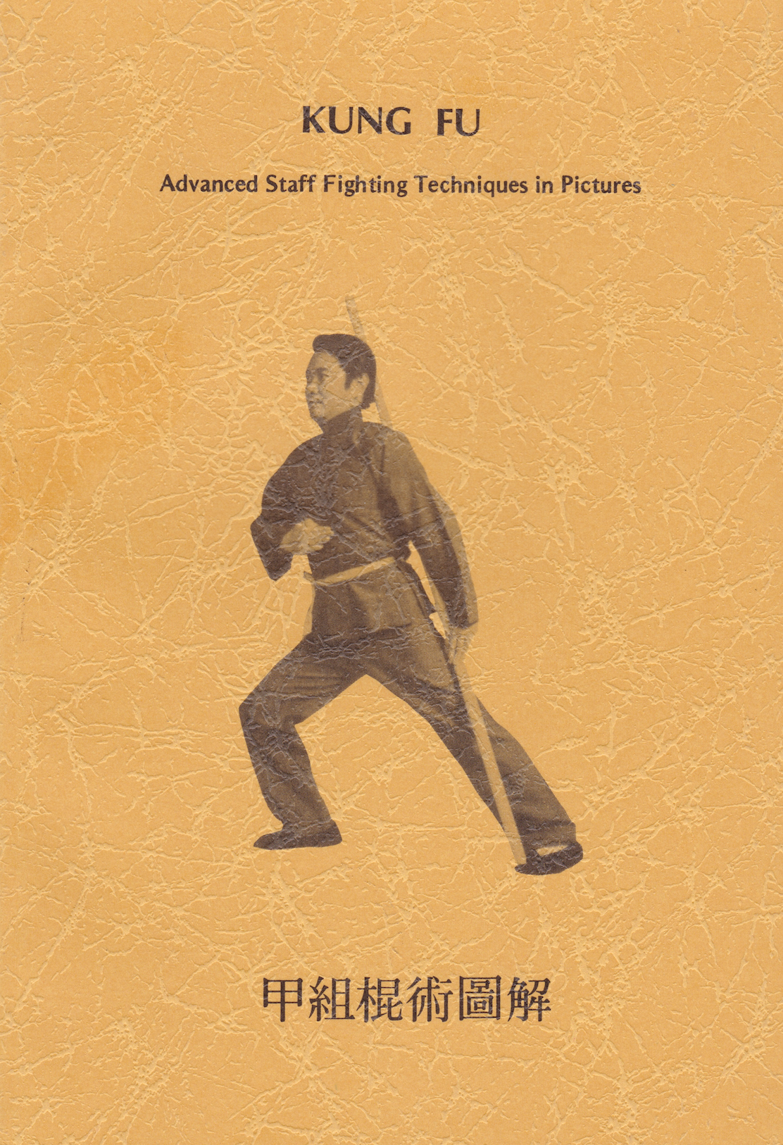 Kung Fu Advanced Staff Fighting Techniques in Pictures Book by Thomas Marks (Preowned)