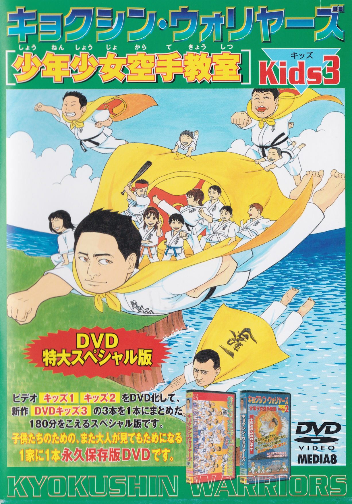 Kyokushin Karate Junior Class DVD 3 (Preowned)