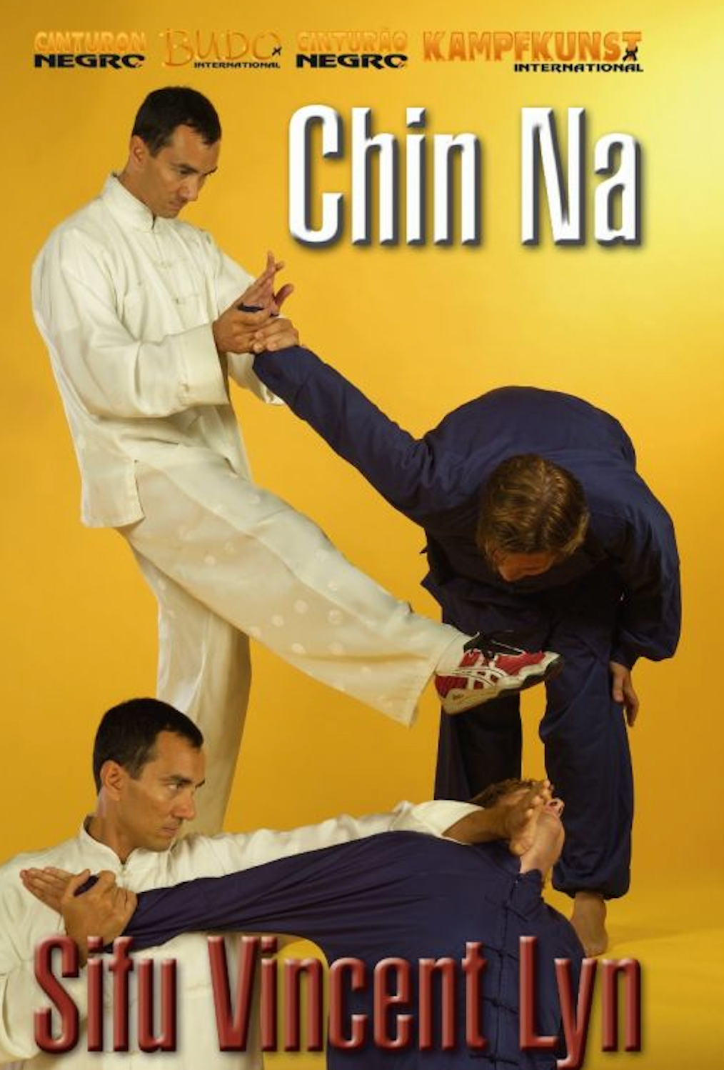 Ling Gar Kung Fu Chin Na DVD by Vincent Lyn