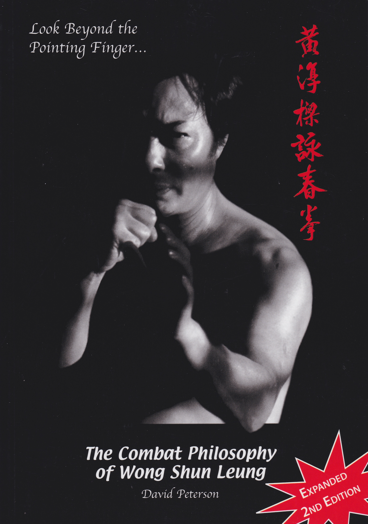 Look Beyond the Pointing Finger: The Combat Philosophy of Wong Shun Leung Book by David Peterson (Expanded 2nd Edition)