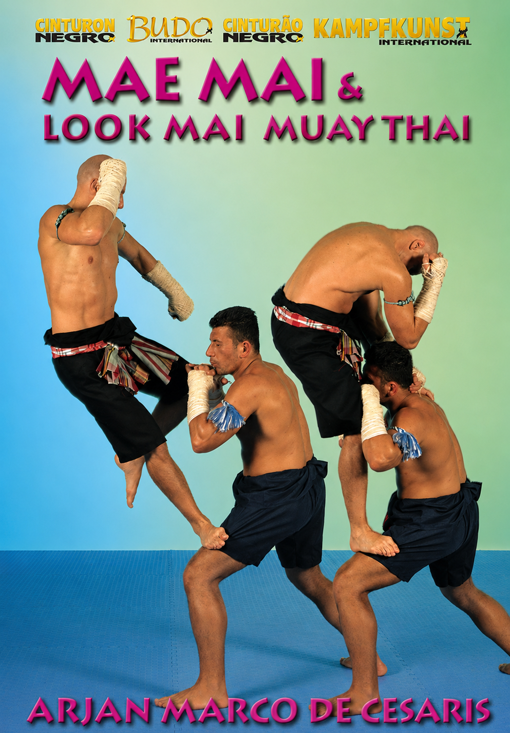 Mae Mai & Look Mai Muay Thai DVD with Marco de Cesaris