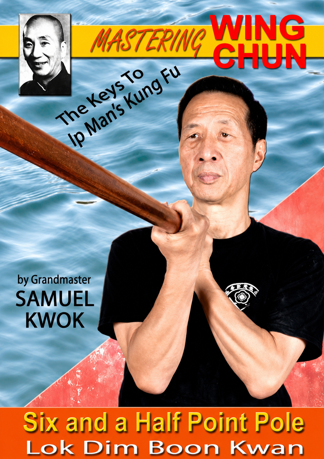 Mastering Wing Chun: The Keys to Ip Man's Kung Fu - Six And A Half Point Pole by Samuel Kwok
