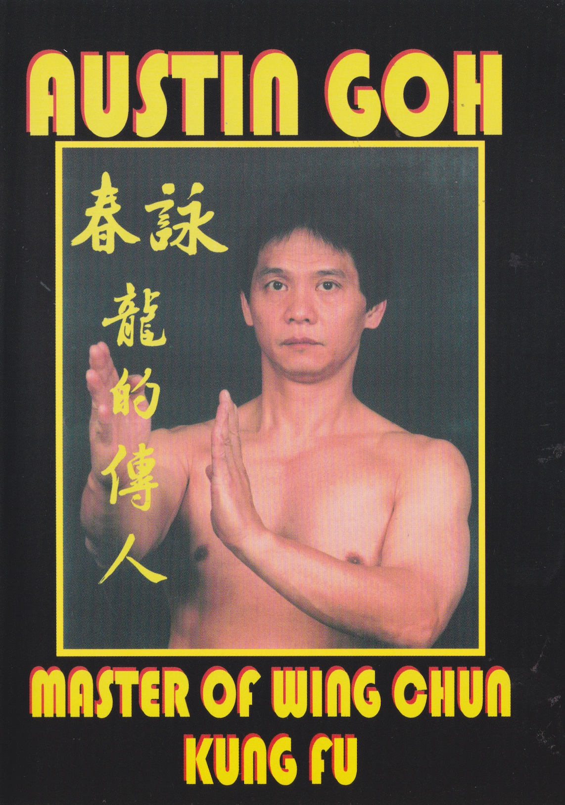 Master of Wing Chun Kung Fu DVD by Austin Goh (Preowned)