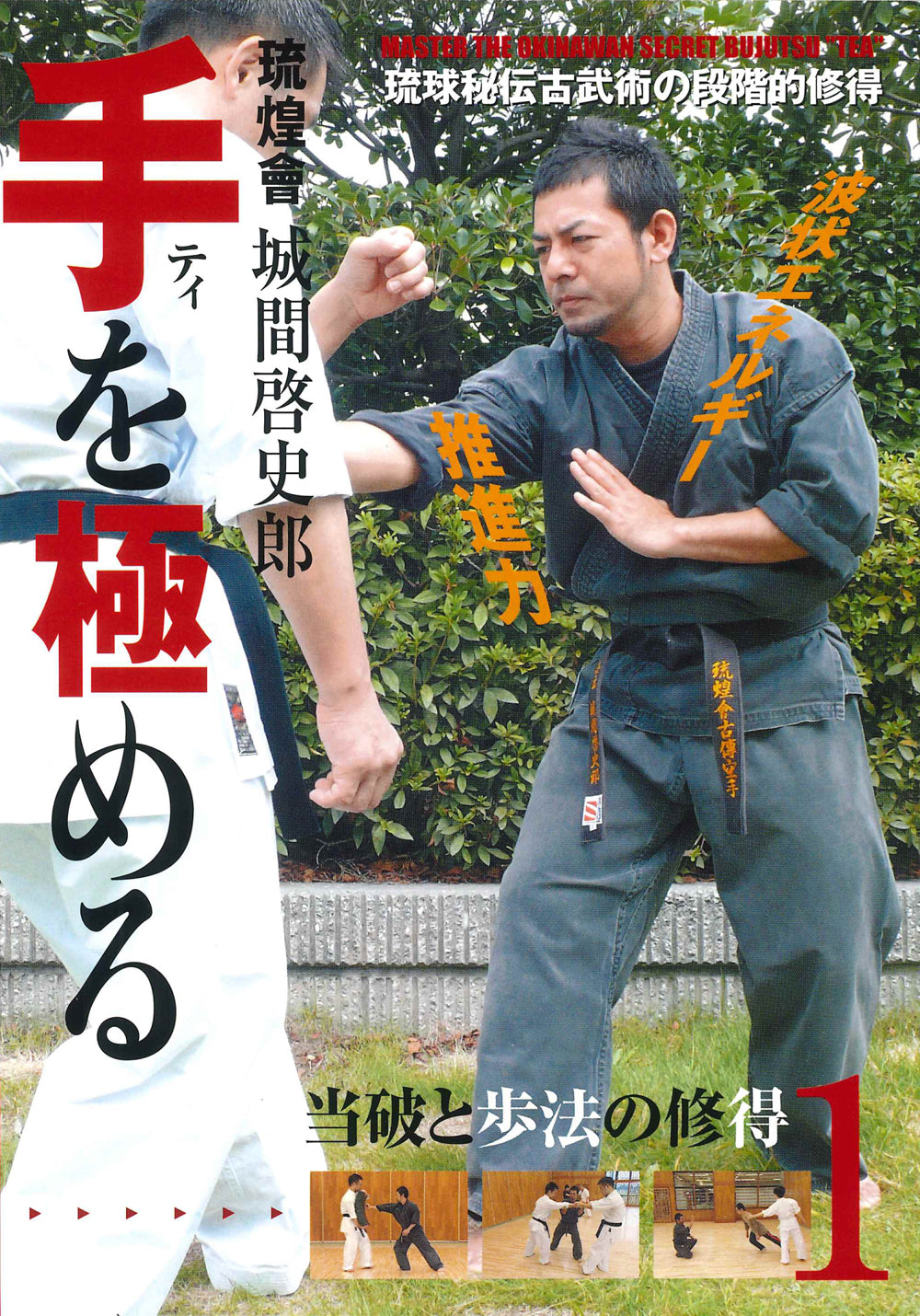 Master the Te DVD 1 by Keishiro Shiroma