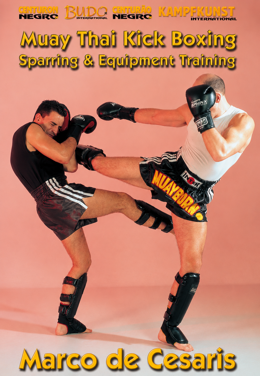 Muay Thai: Sparring & Equipment Training DVD by Marco De Cesaris