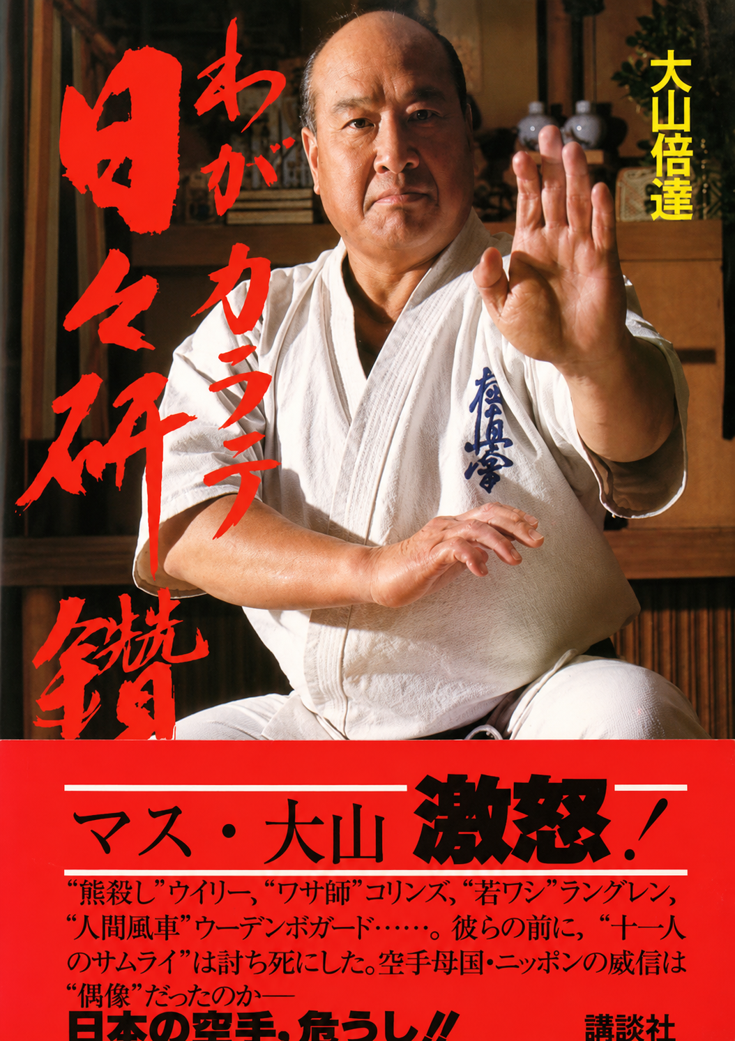 My Daily Karate Training Book by Mas Oyama (Preowned)