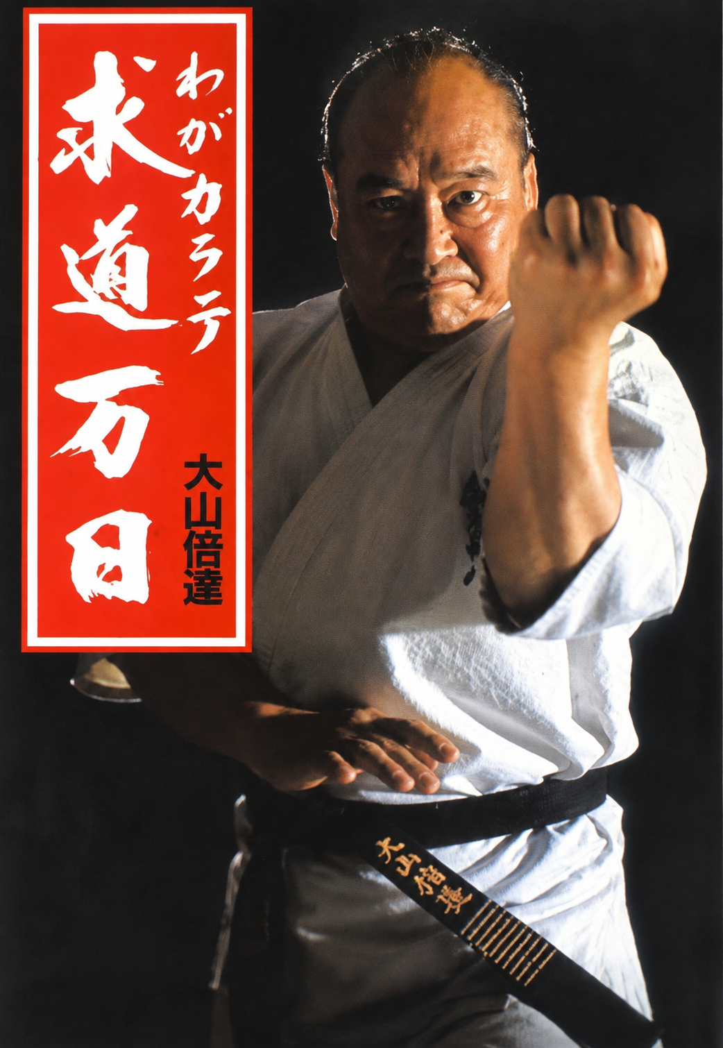 My Ten Thousand Days of the Pursuit of Karate Book by Mas Oyama (Preowned)