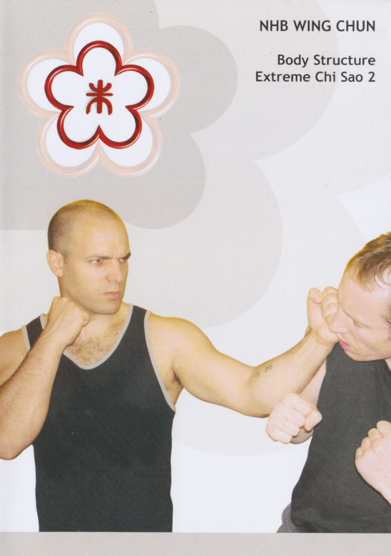 NHB Wing Chun: Body Structure Extreme Chi Sao 2 DVD by Alan Orr (Preowned)