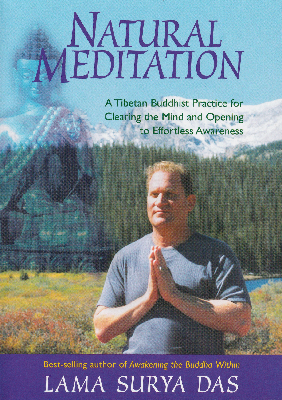 Natural Meditation DVD by Lama Surya Das (Preowned)