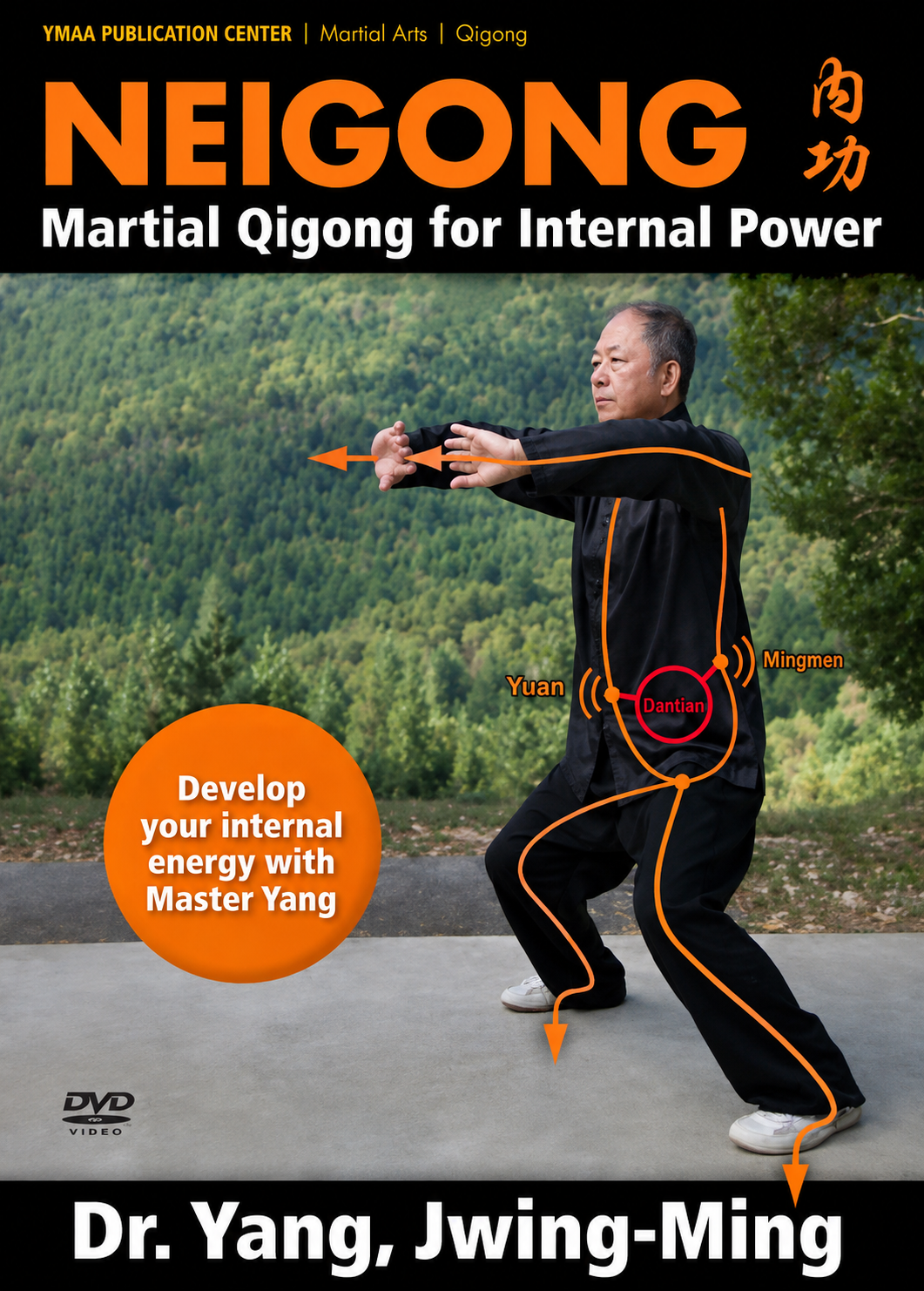 Nei Gong Internal Power 2 DVD Set by Dr Yang, Jwing Ming