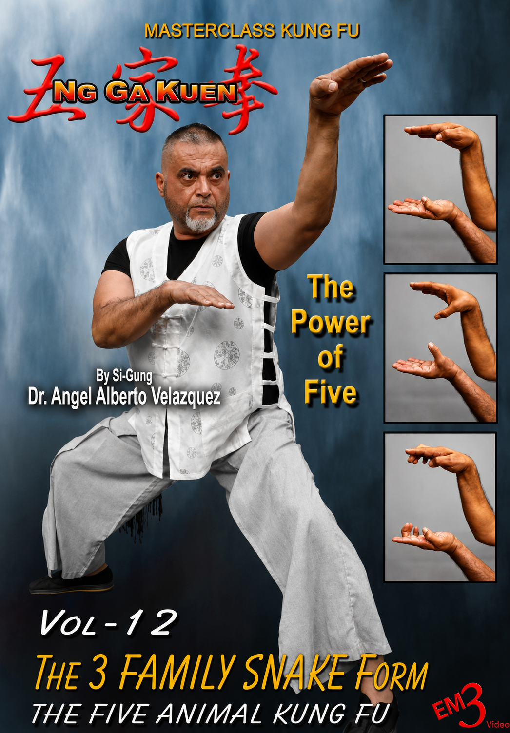 Ng Ga Kuen Vol 12 DVD The 3 FAMILY SNAKE FORM by Angel Velazquez