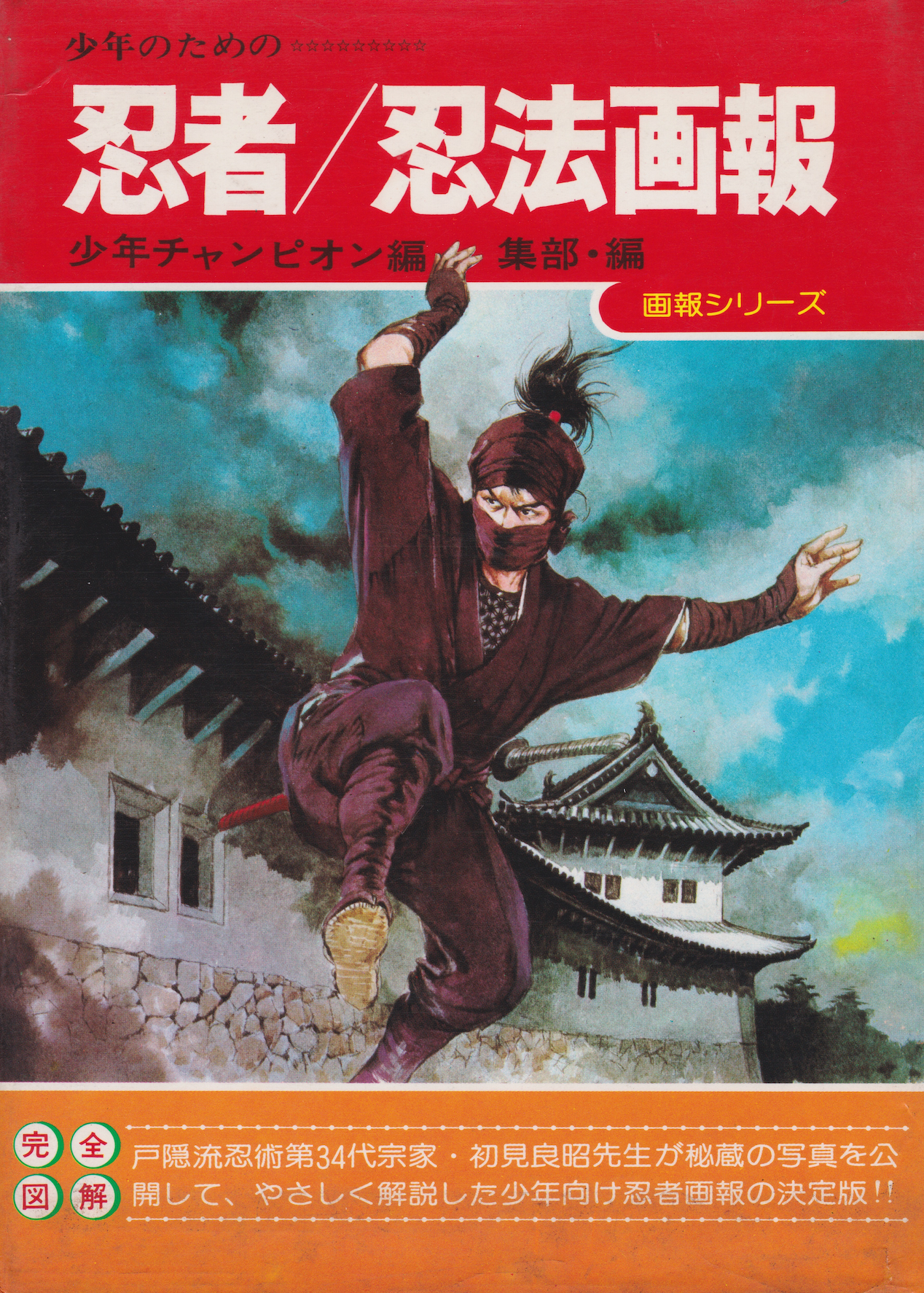 Libro ilustrado completo Ninja Ninpo de Masaaki Hatsumi (usado)