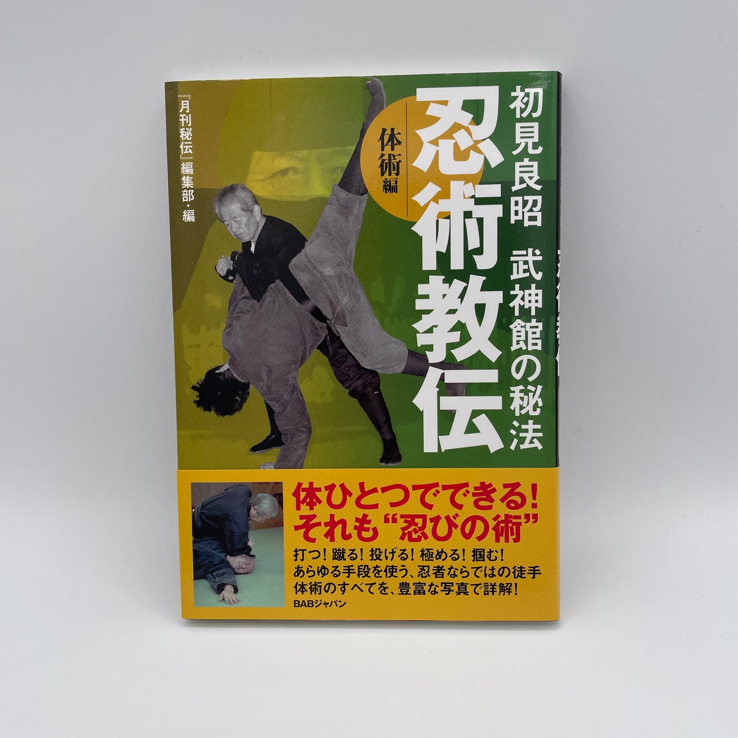 Ninjutsu Kyoden Book 2: Taijutsu by Masaaki Hatsumi