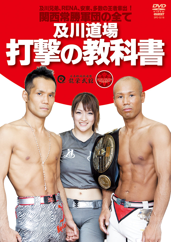 打撃ダイジェストDVD