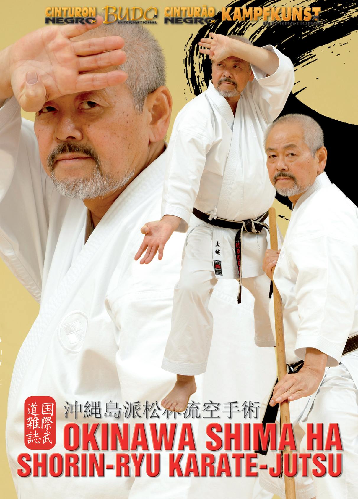 Okinawa Shima Ha Shorin-Ryu Karate-Jutsu DVD by Toshihiro Oshiro