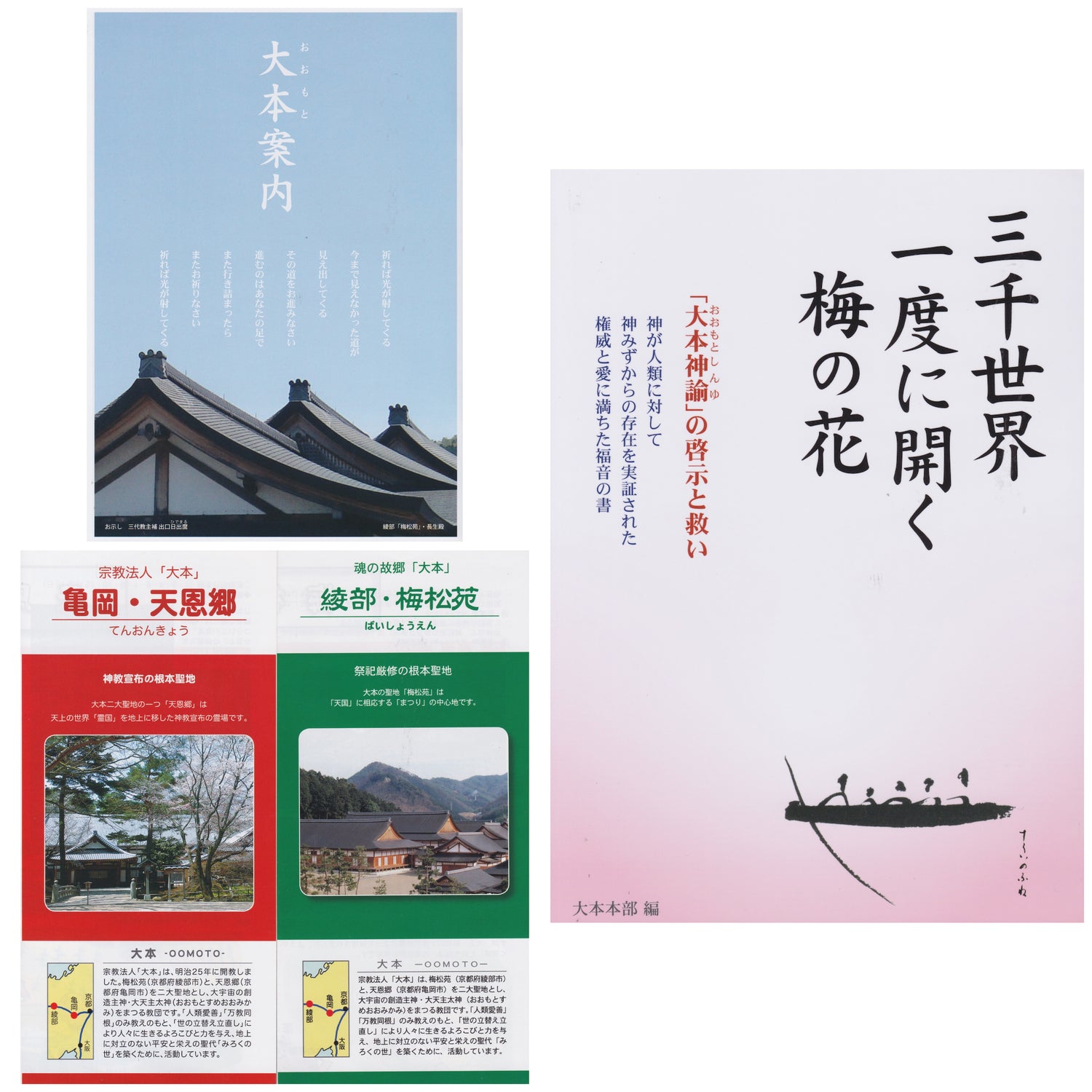 Omoto Kyo Book Lot (Preowned)