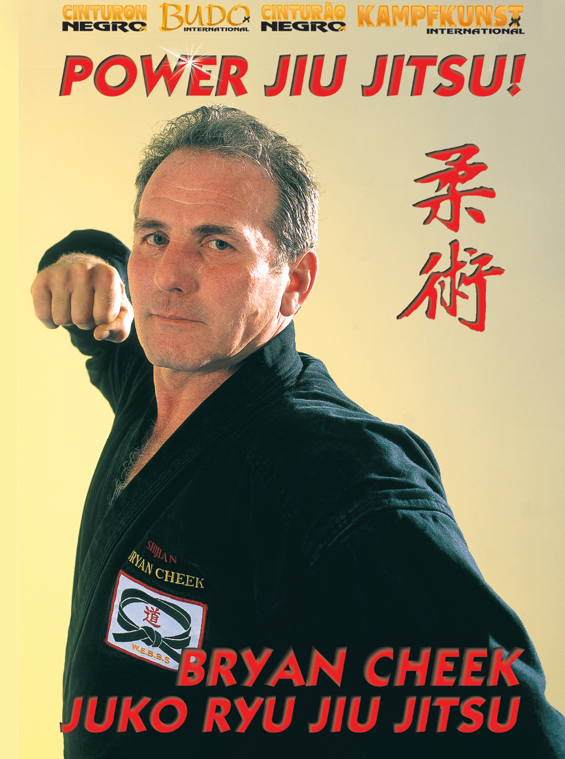 Power Jiu Jitsu Juko Ryu Jiu Jitsu Vol 2 DVD by Bryan Cheek