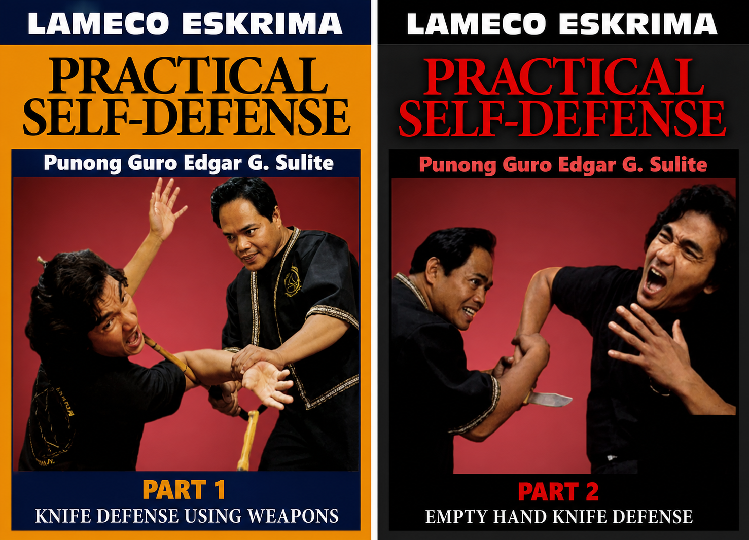 Practical Self Defense 2 DVD Set by Edgar Sulite