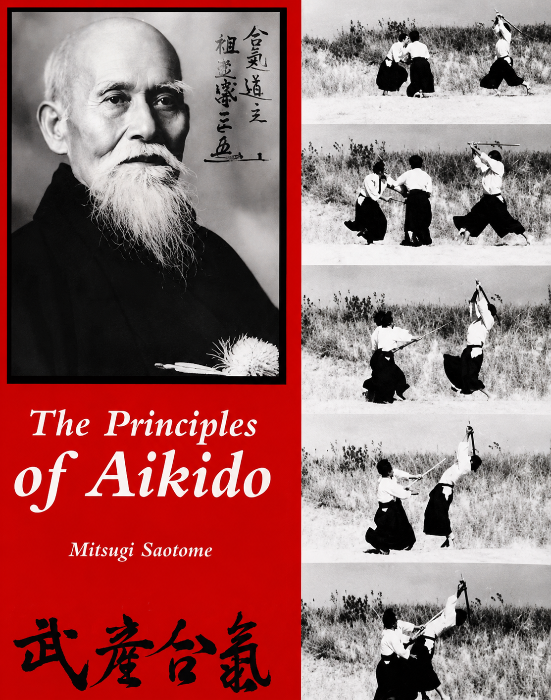 Libro de principios de Aikido de Mitsugi Saotome (usado)