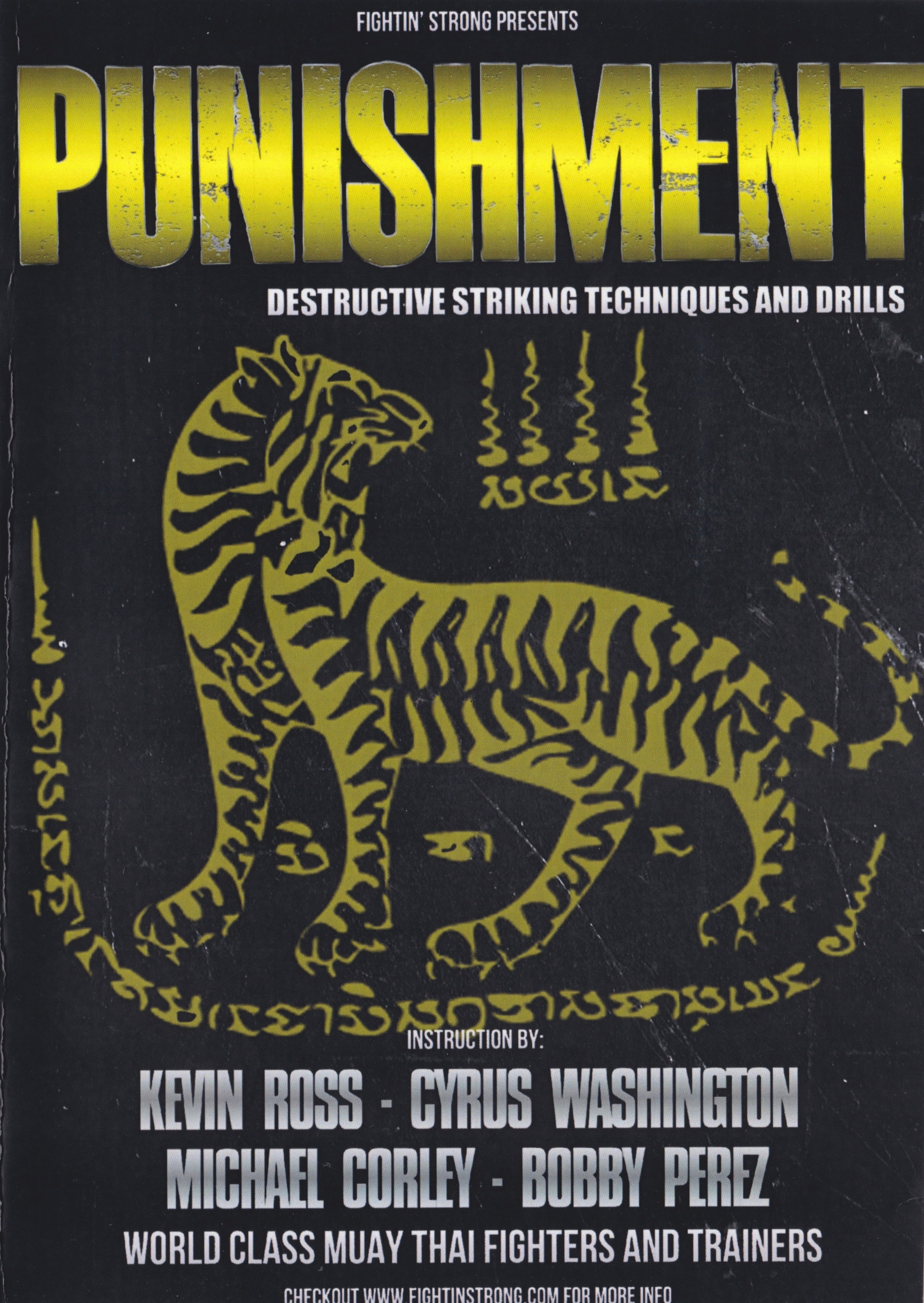 Punishment: Destructive Striking Techniques & Drills 3 DVD Set