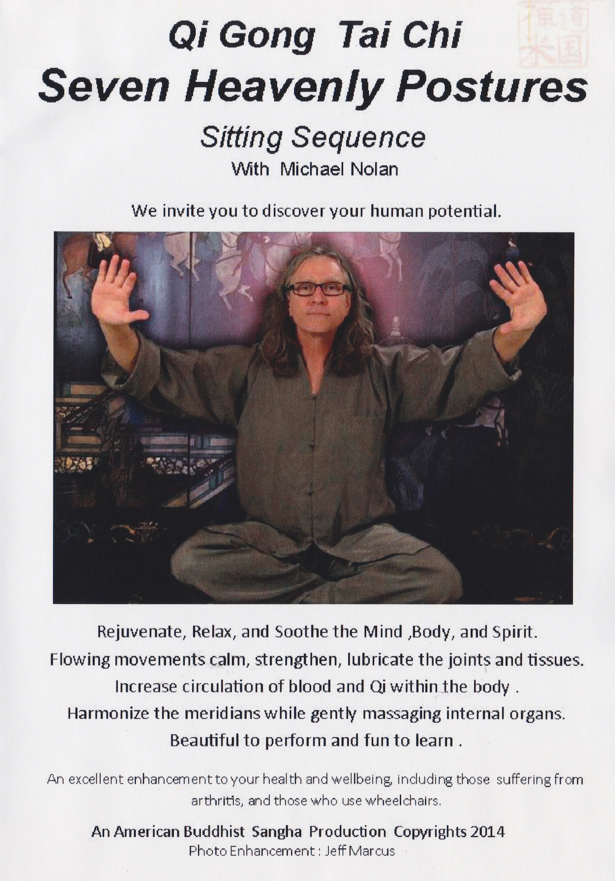 Qigong Tai Chi Seven Heavenly Postures Sitting Sequence DVD by Michael Nolan (Preowned)